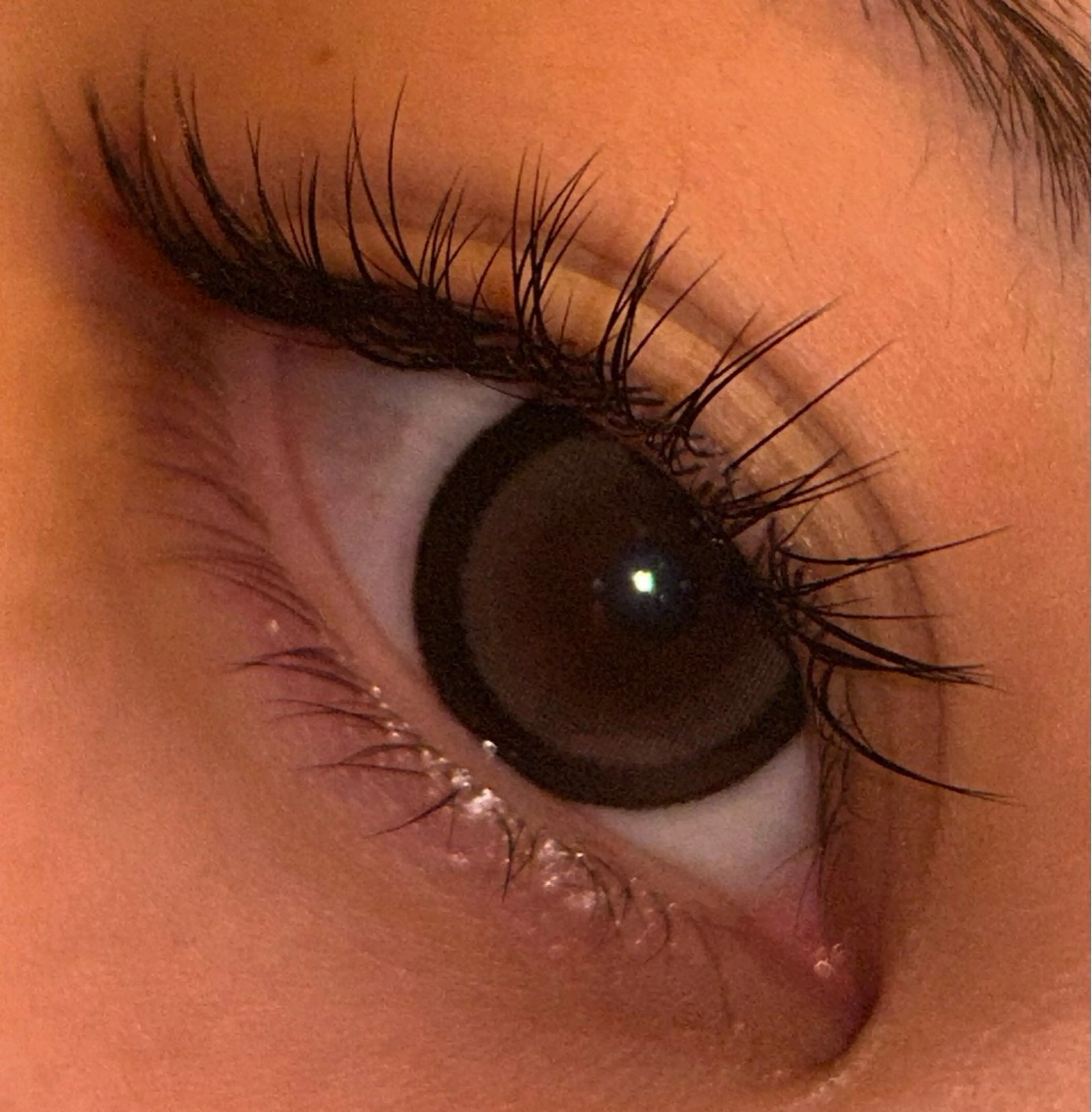 マツエク・マツパ サルサグレイス木更津 クボタのその他イメージ