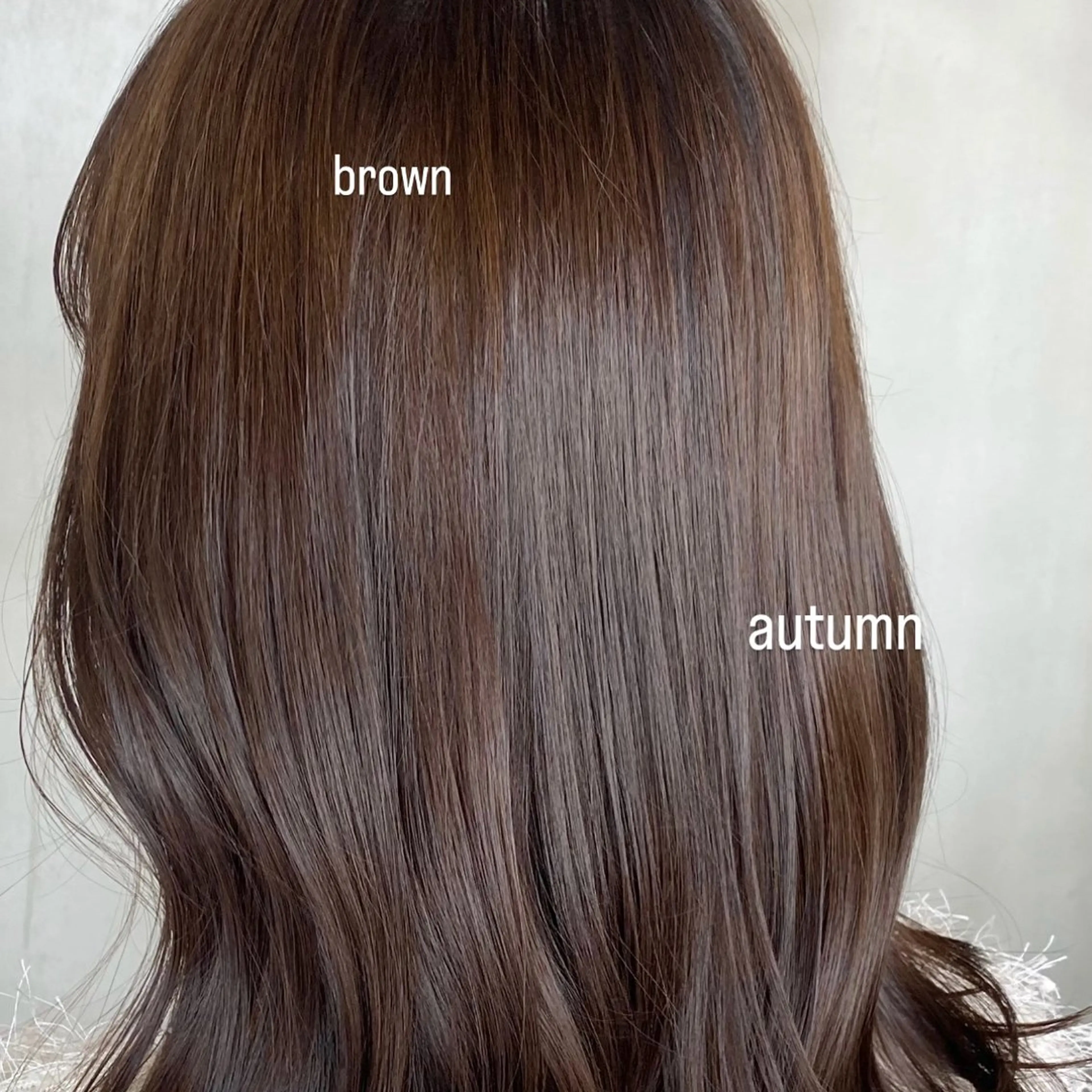 セミロング カラー AIN.ANLY.所属・韓国ｶﾞｰﾘｰ 🎀ミスズ🩰のヘアスタイル