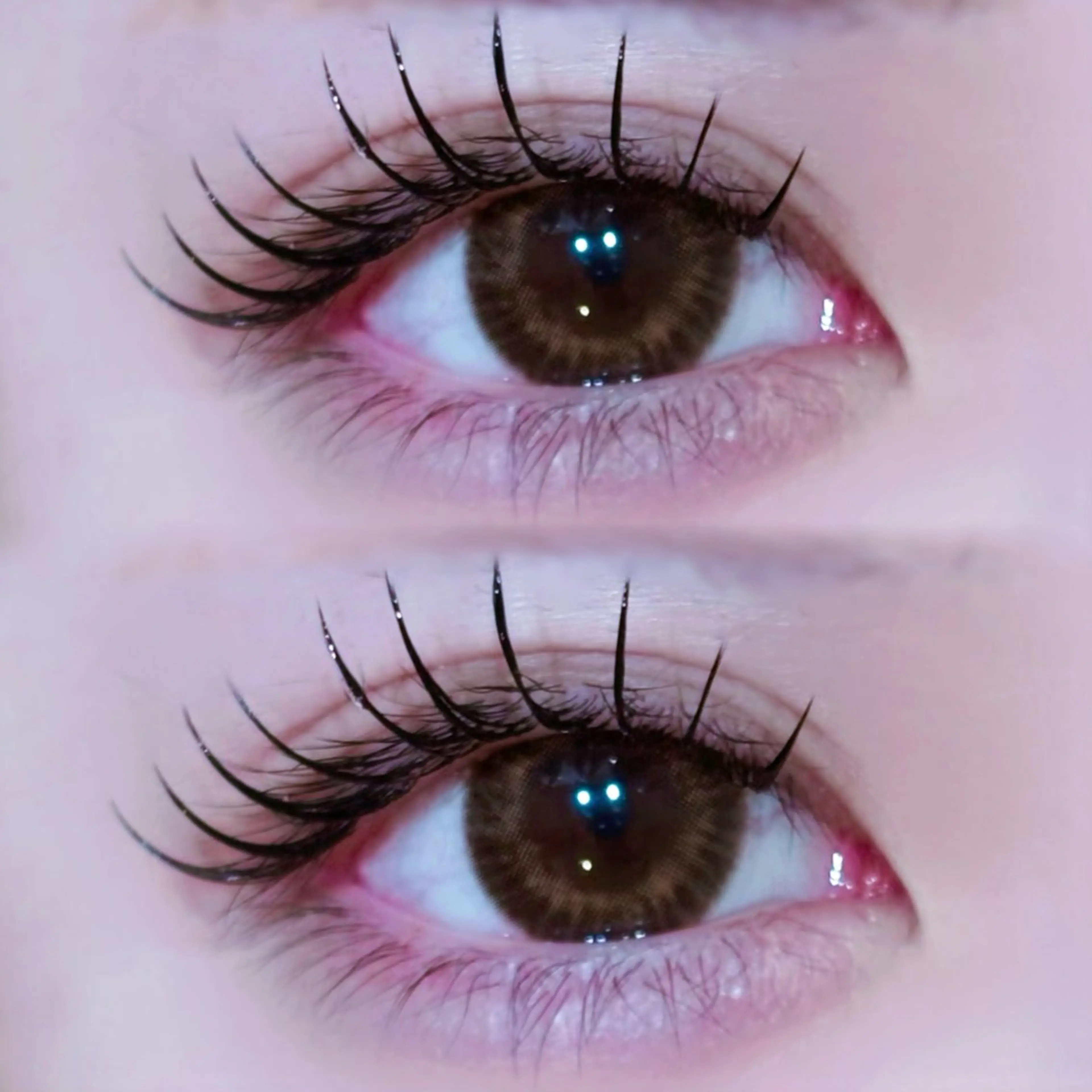 マツエク・マツパ EYELA🤍 蓜島のマツエク・マツパデザイン