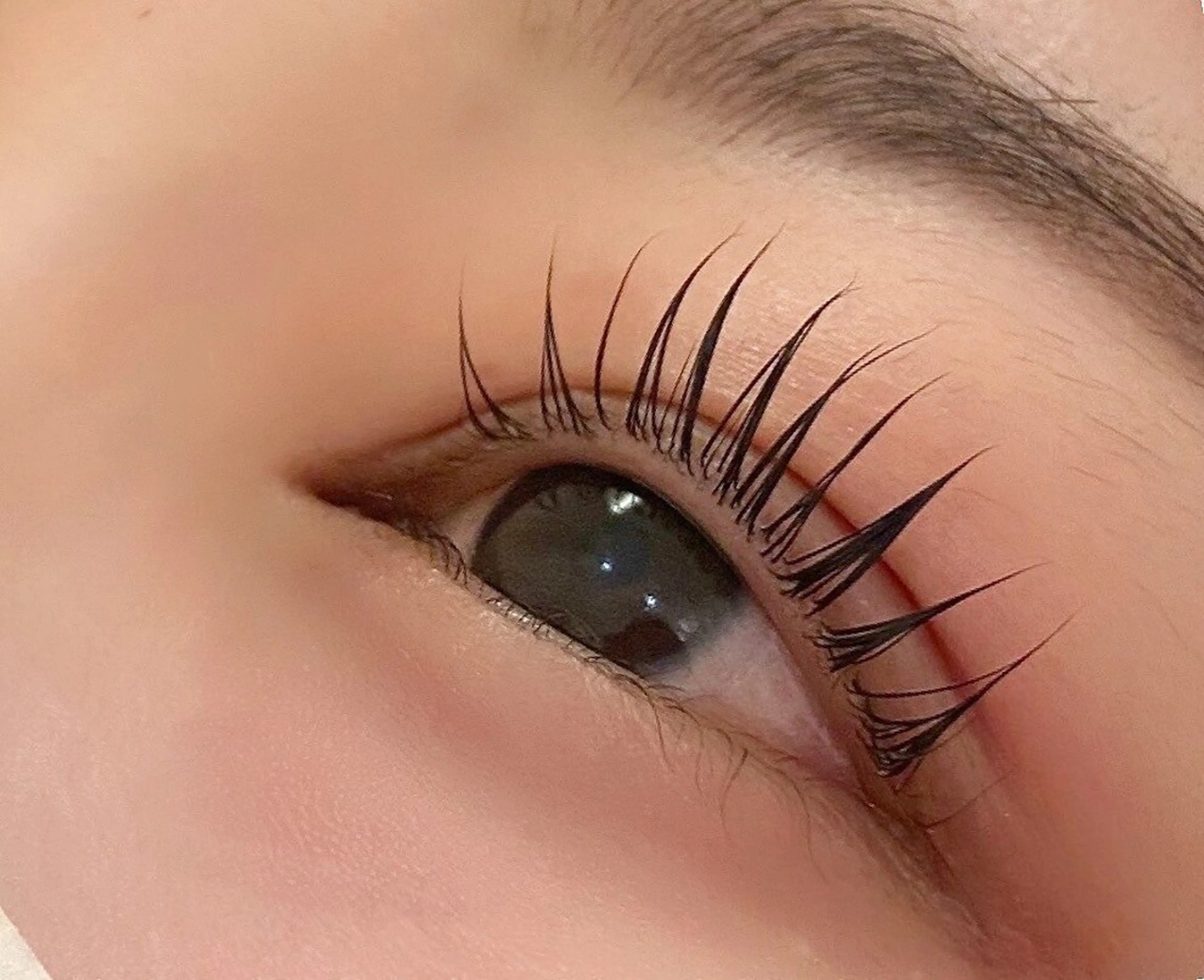 まつげパーマ🤍高級コーティング無料🤍の写真