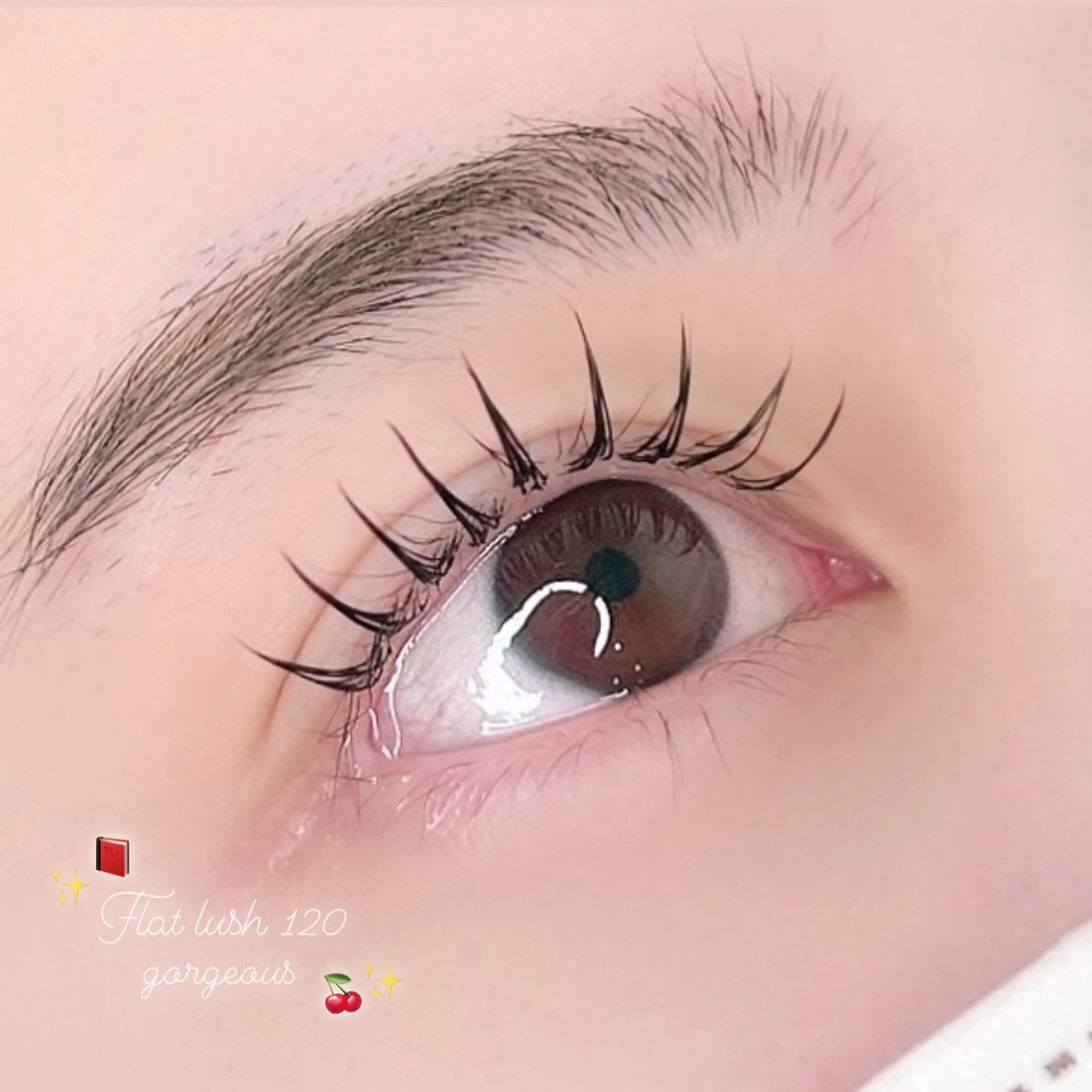 フラットラッシュ120本の写真