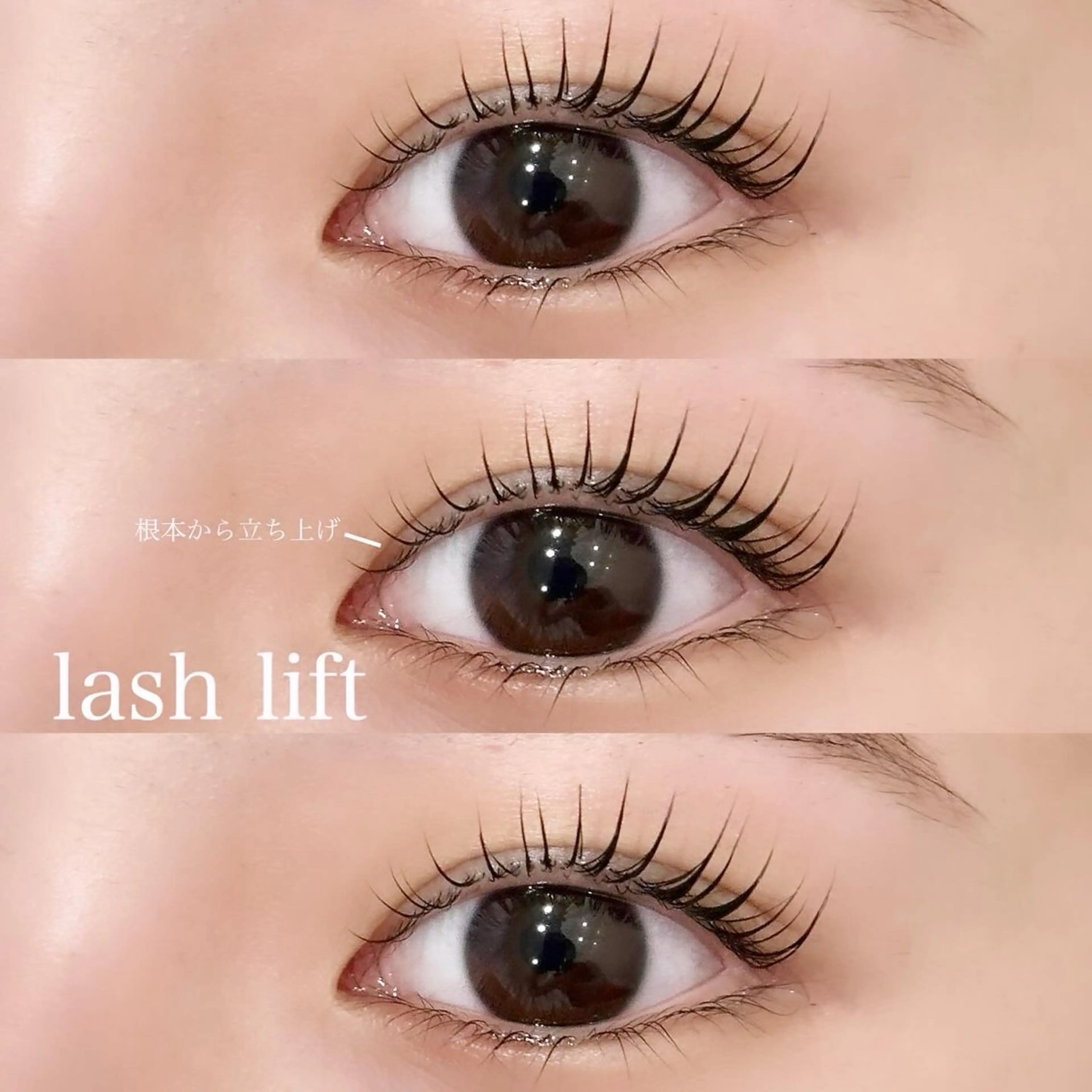 マツエク・マツパ ayano ayanoの眉毛・アイブロウイメージ