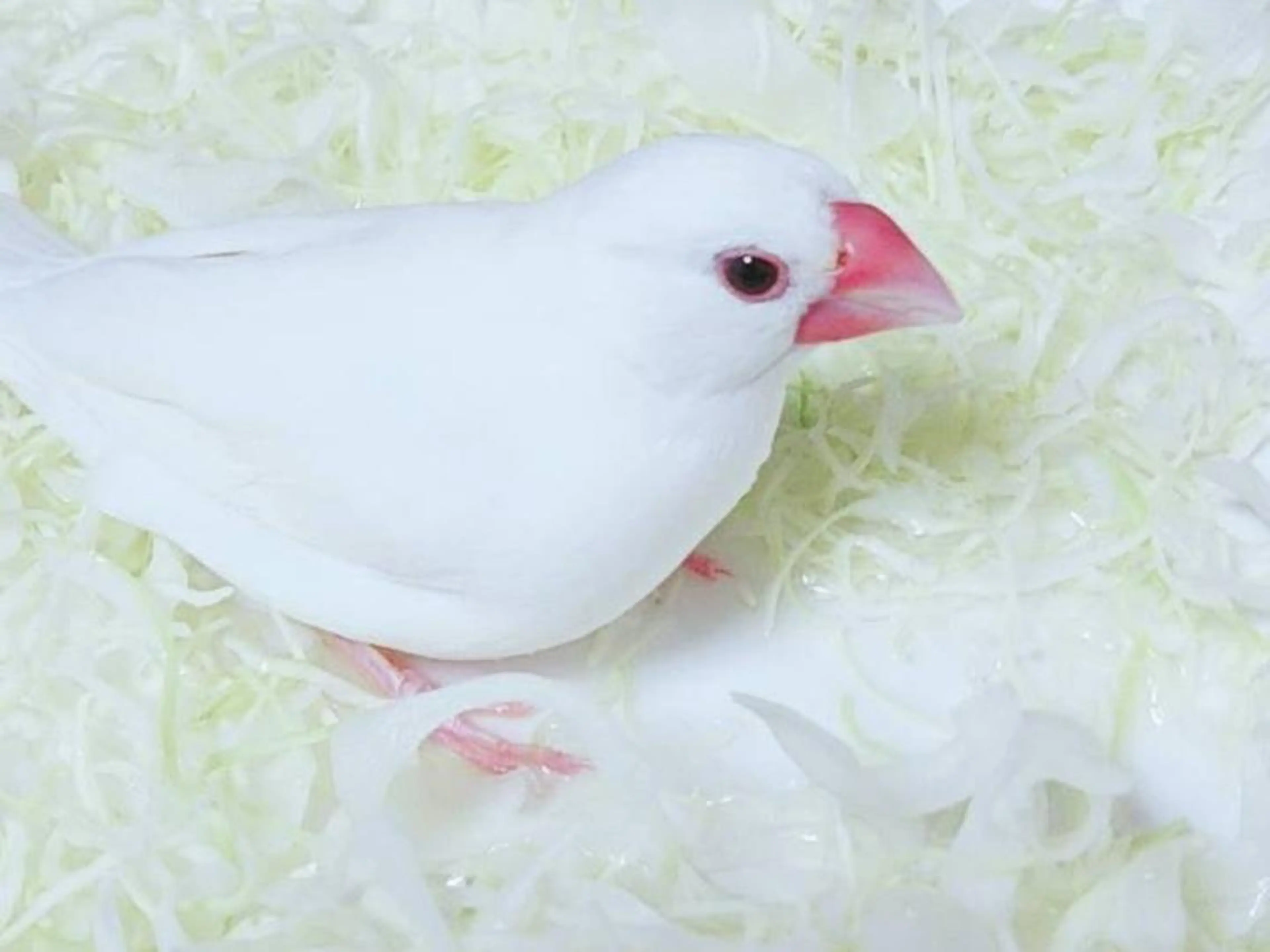 g*rossa高橋 くみこのエステ・リラクイメージ