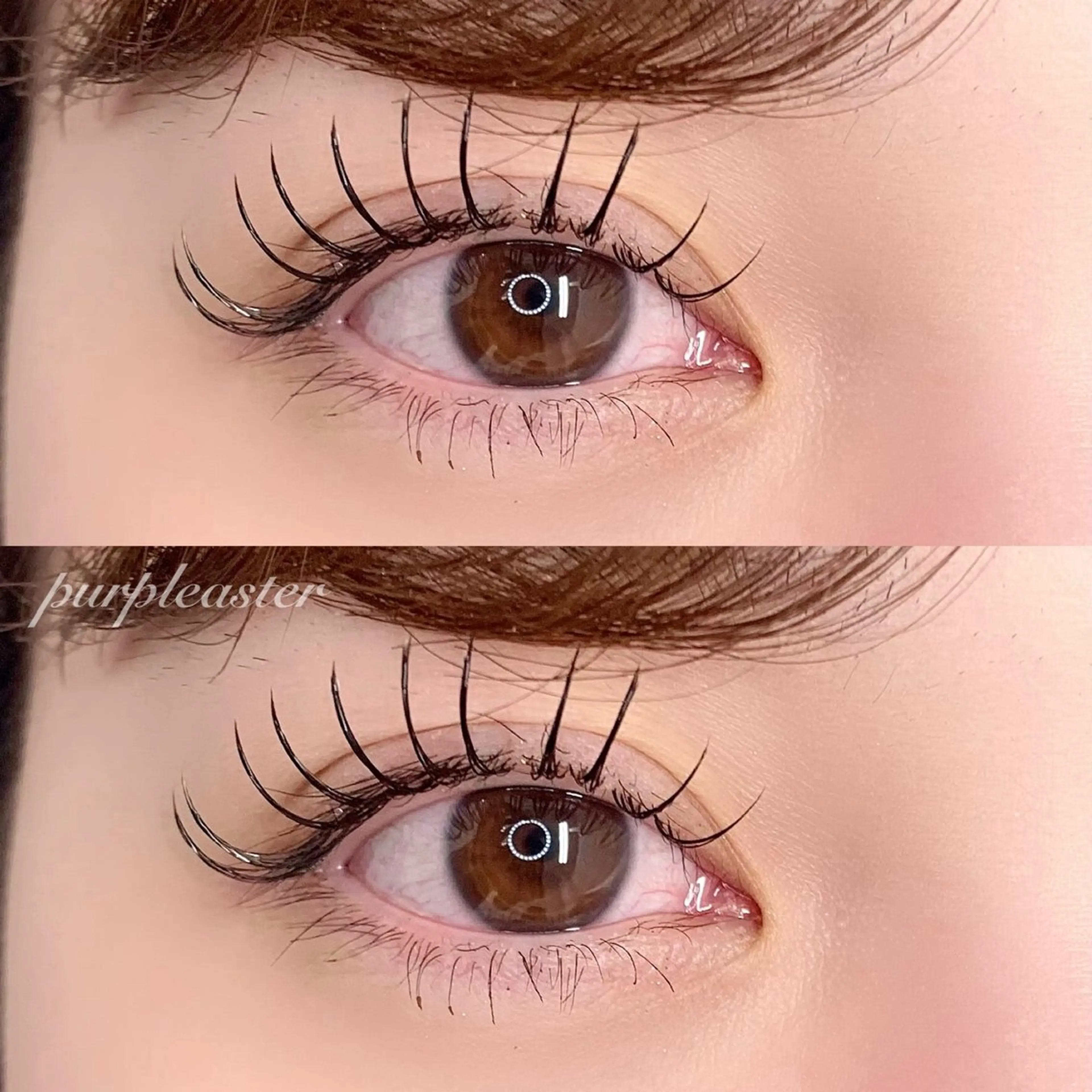 マツエク・マツパ 束感まつ毛 purple aster名駅店所属・パープルアスター/ mako🐈‍⬛🤍のマツエク・マツパデザイン
