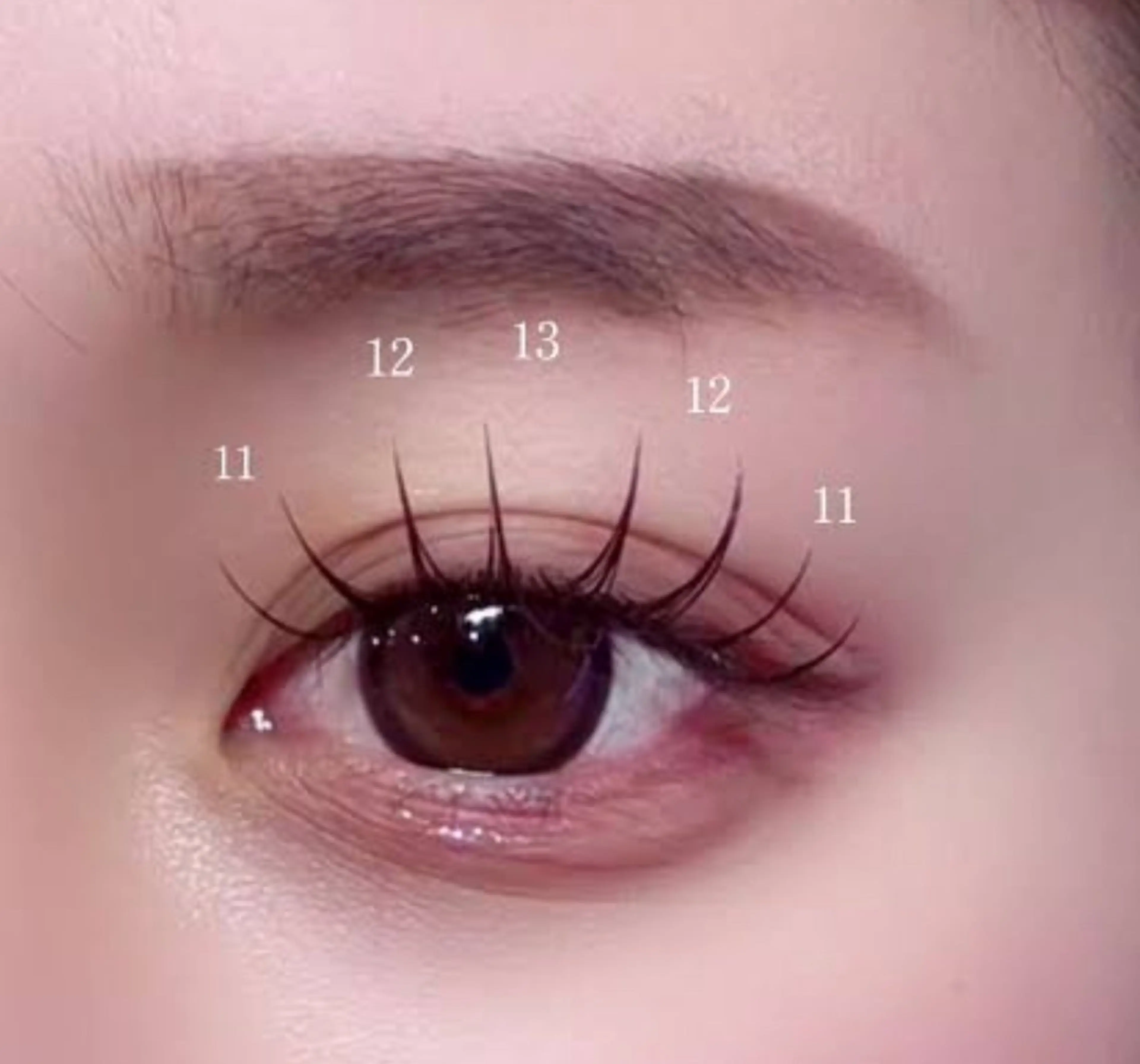 マツエク・マツパ Arana Salon所属・皐月 ゆゆのマツエク・マツパデザイン