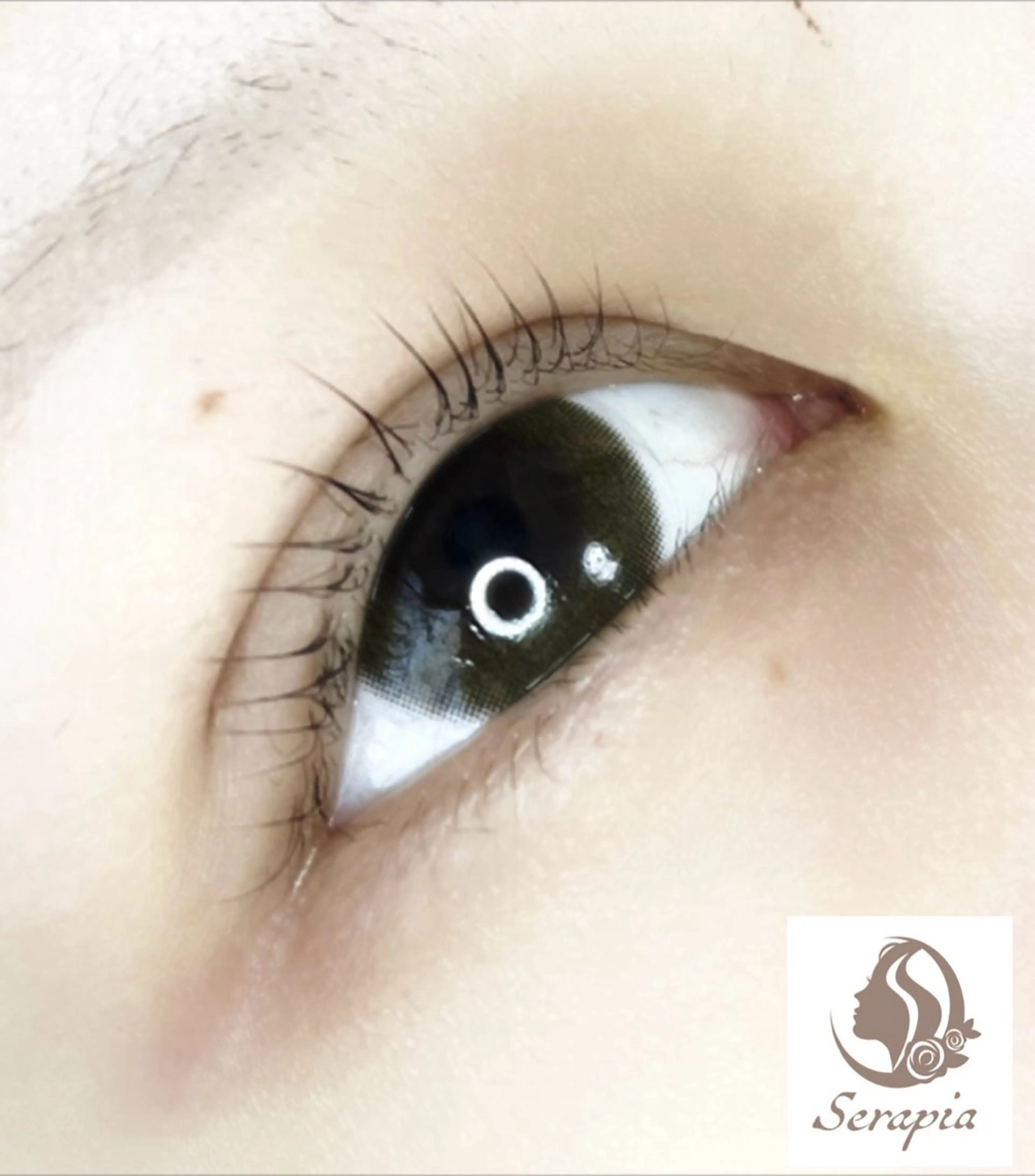 マツエク・マツパ Serapia 【セラピア】のマツエク・マツパデザイン