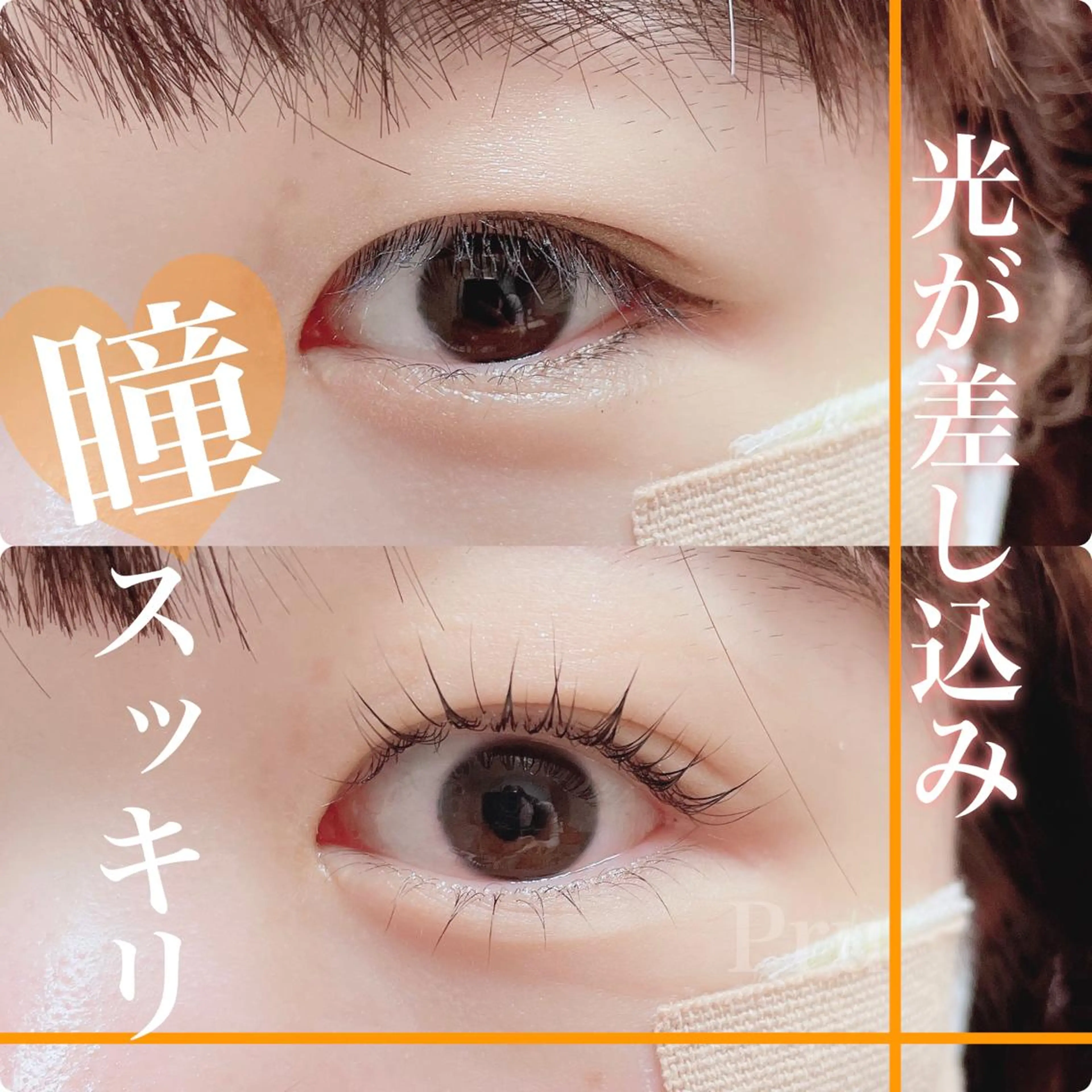 マツエク・マツパ プル eyelashのマツエク・マツパデザイン