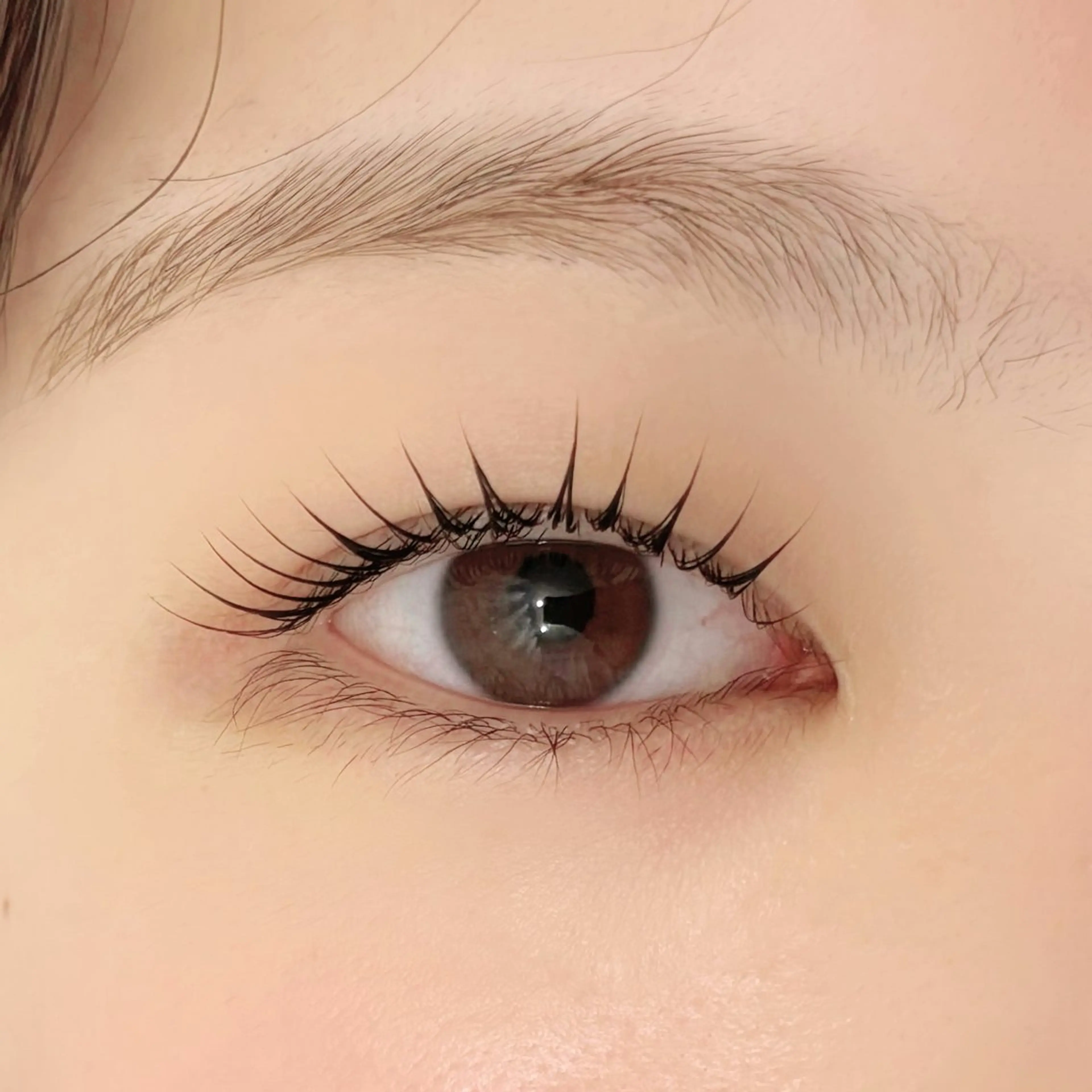 💎まつ毛ティント×まつ毛パーマ(トリートメント付き)💎の写真