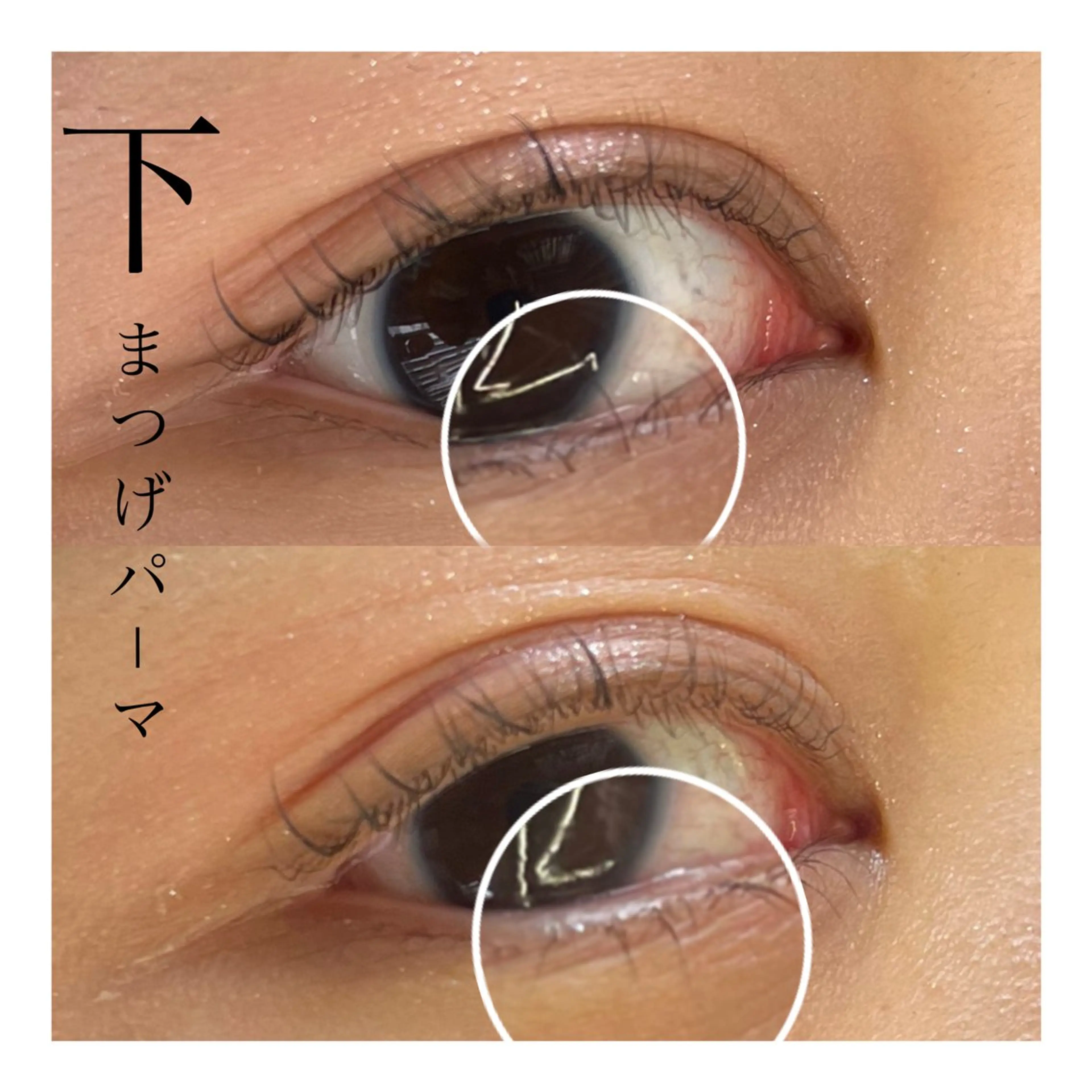 【単品】下まつげパーマの写真