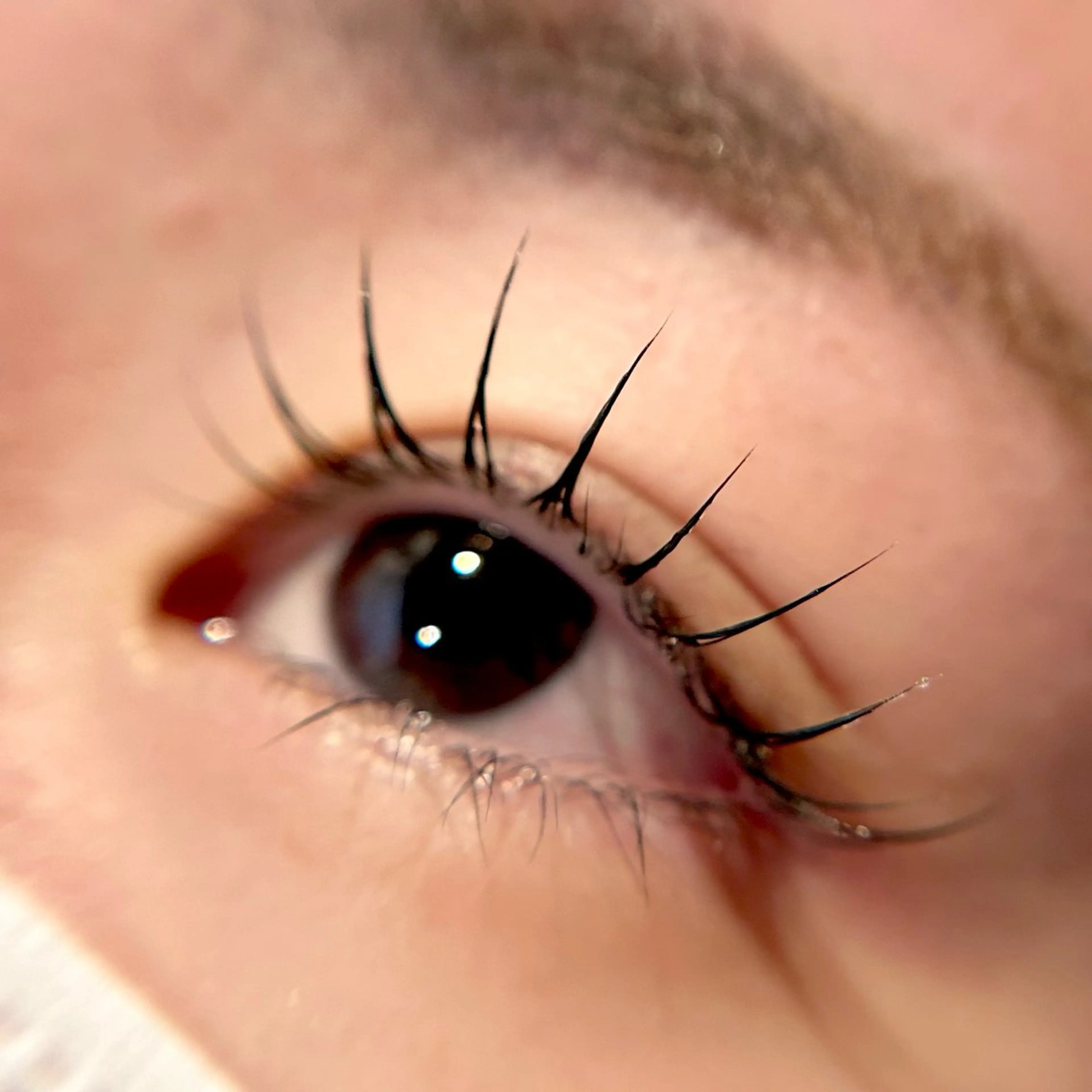 高濃度トリートメント付き🌸まつ毛パーマ🌸の写真