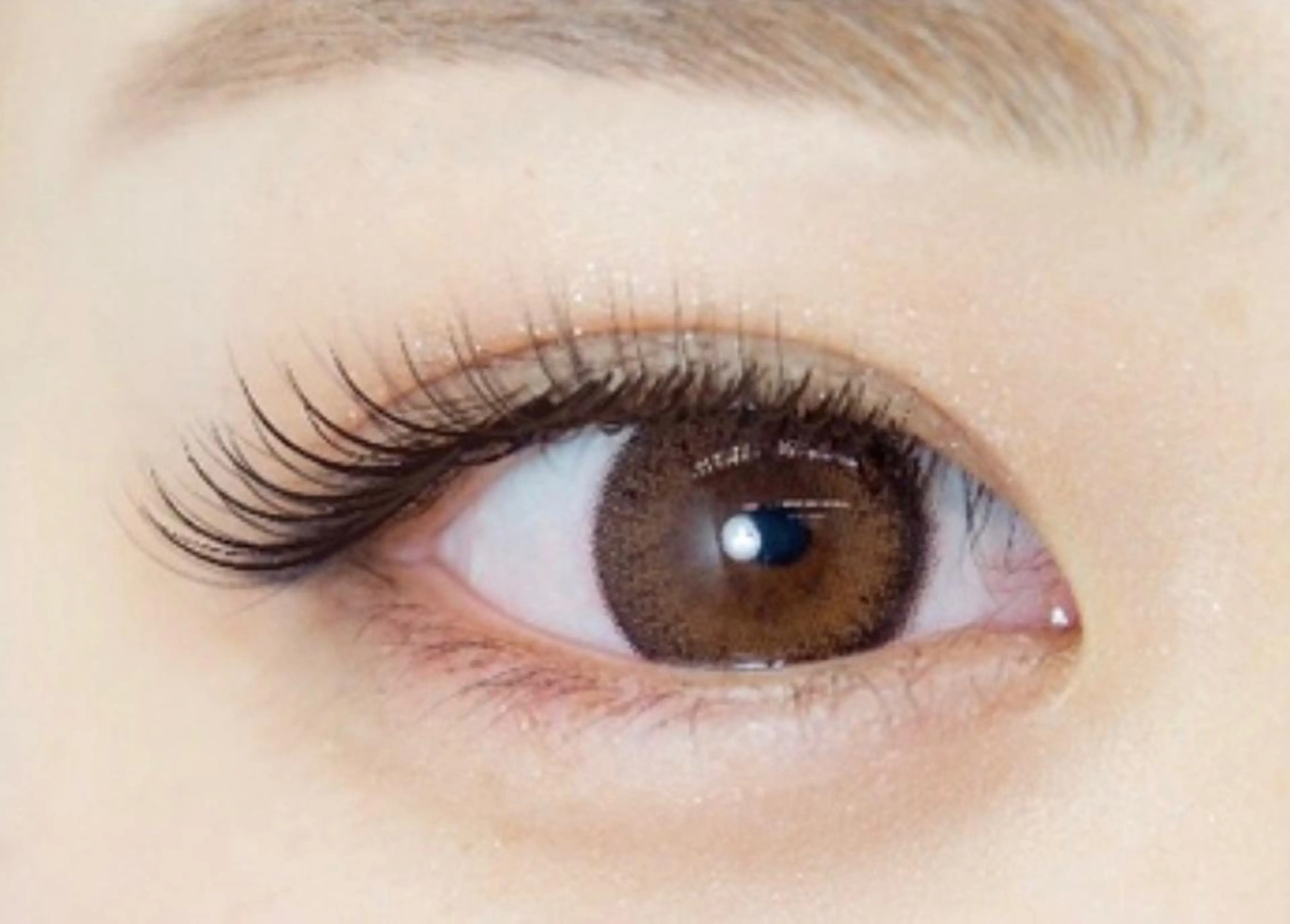 💛セーブルラッシュ100本まで💛の写真