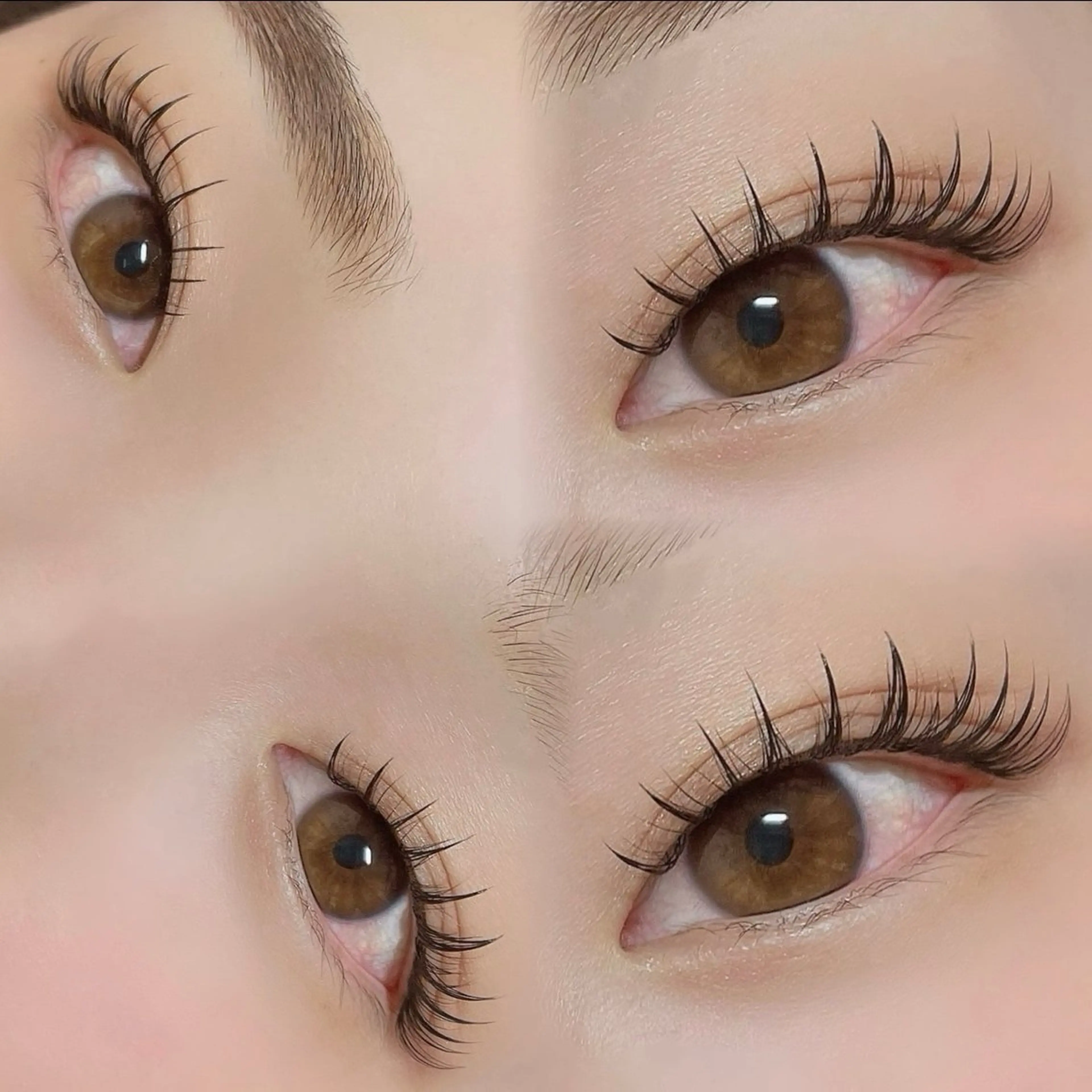 急募【オフなし】パリエクフラットラッシュ100本🤍の写真