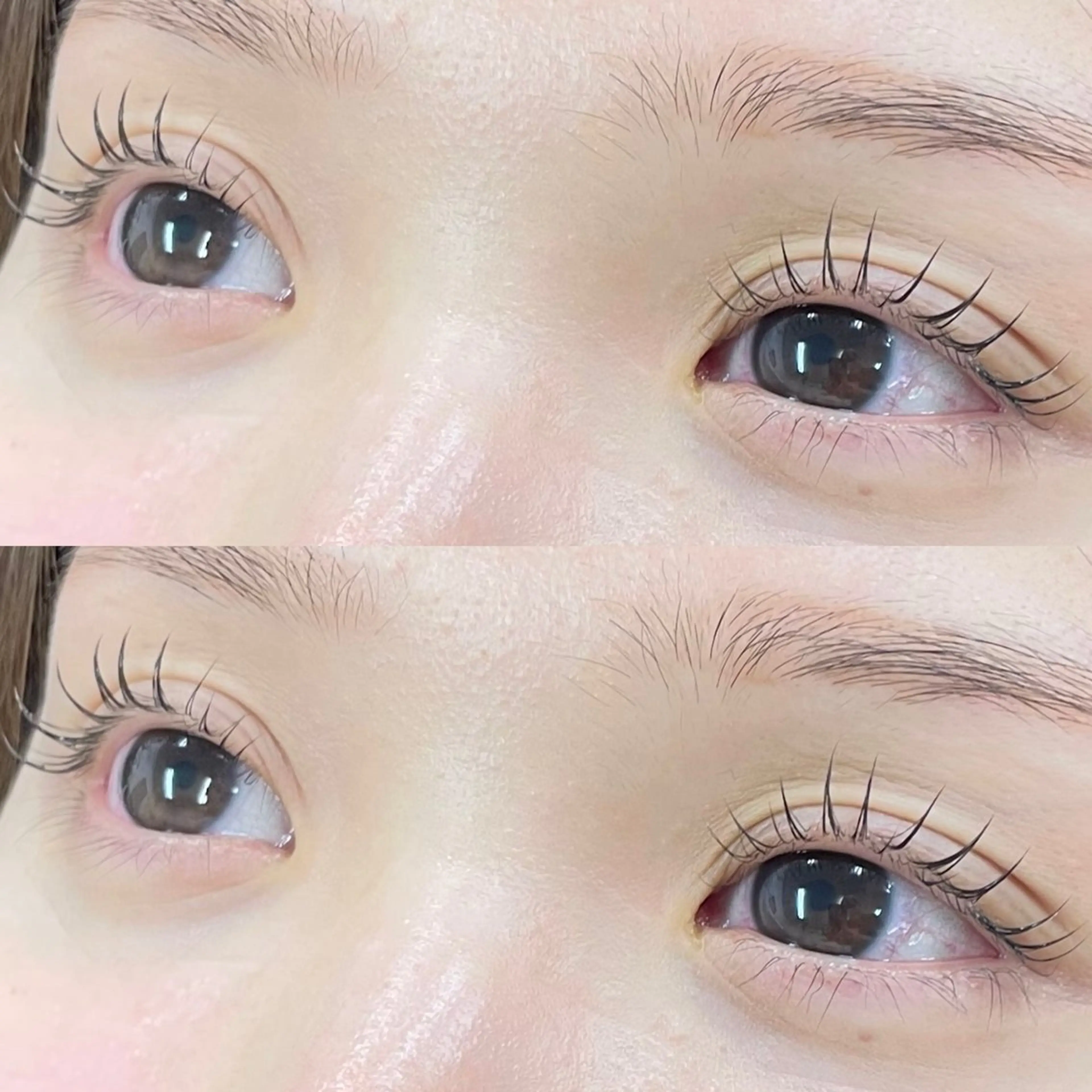 【12月限定】まつげパーマ上下🌙逆さまつげでお悩みの方にオススメ✨️(高円寺/中野/阿佐ヶ谷)の写真