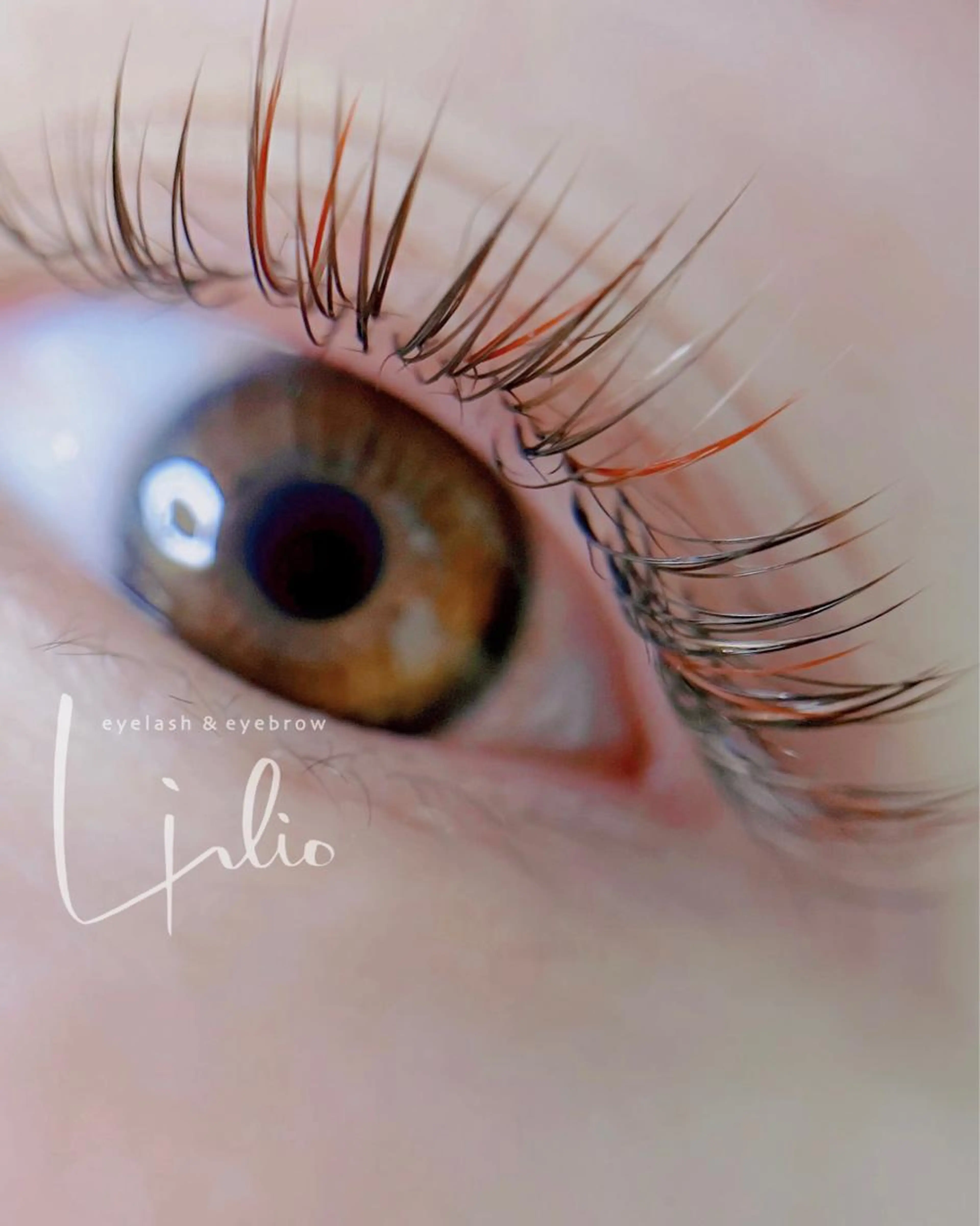 フラットラッシュ【カラーエクステ】上つけ放題の写真