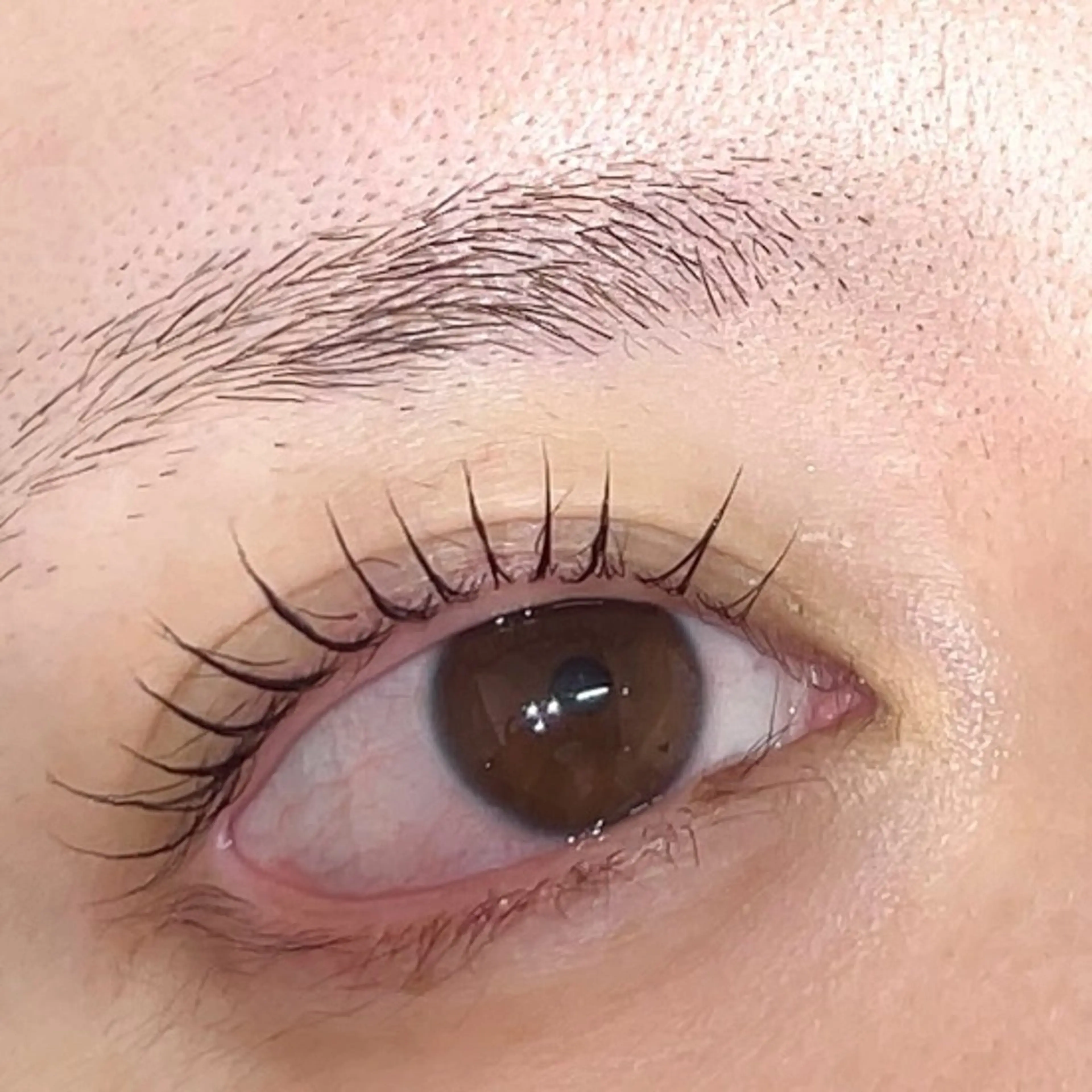 マツエク・マツパ Junono Eyelash所属・Saki Junonoのマツエク・マツパデザイン