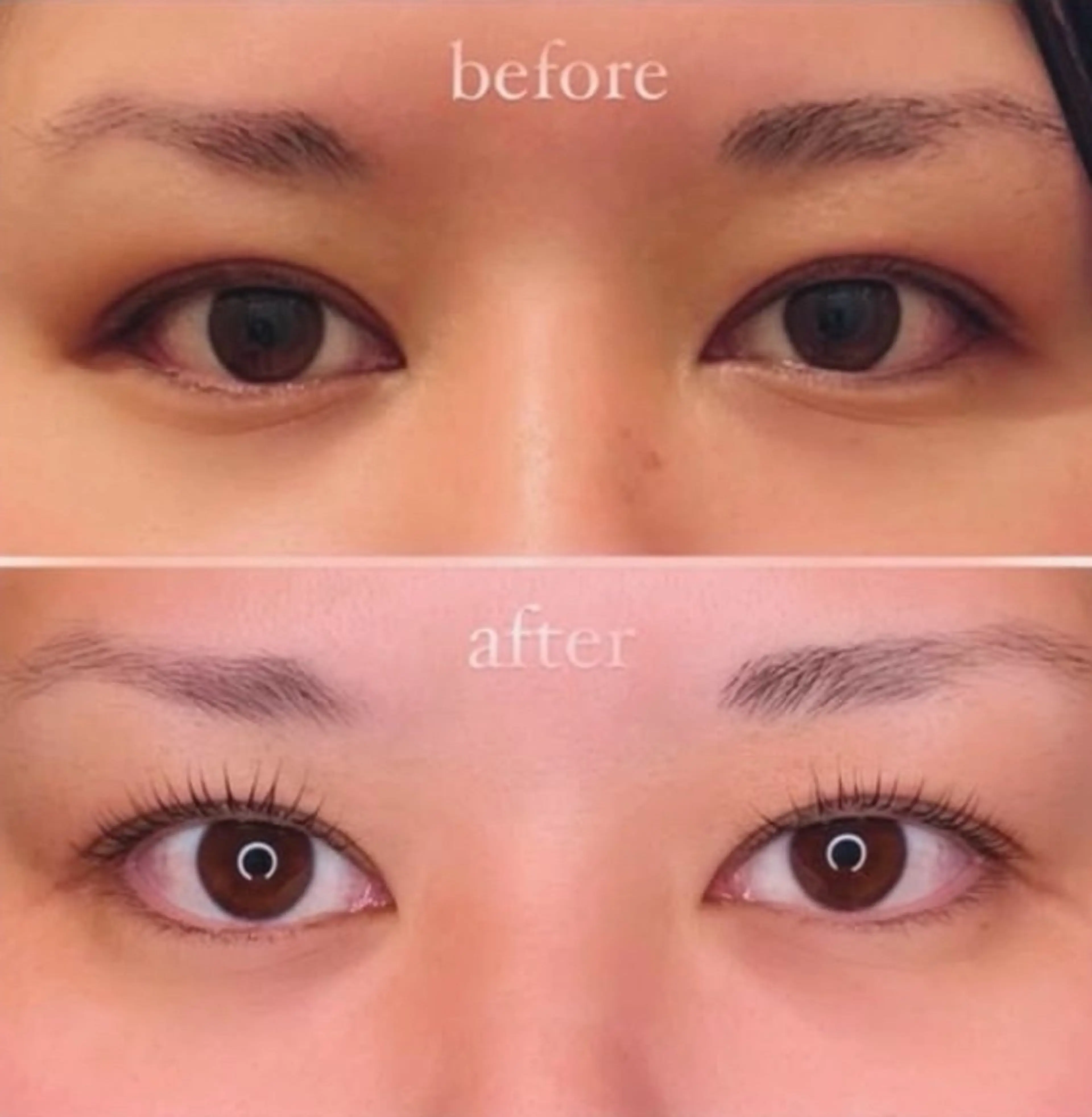 🌟【当日予約限定】🥕上まつげパーマクーポン🥕の写真