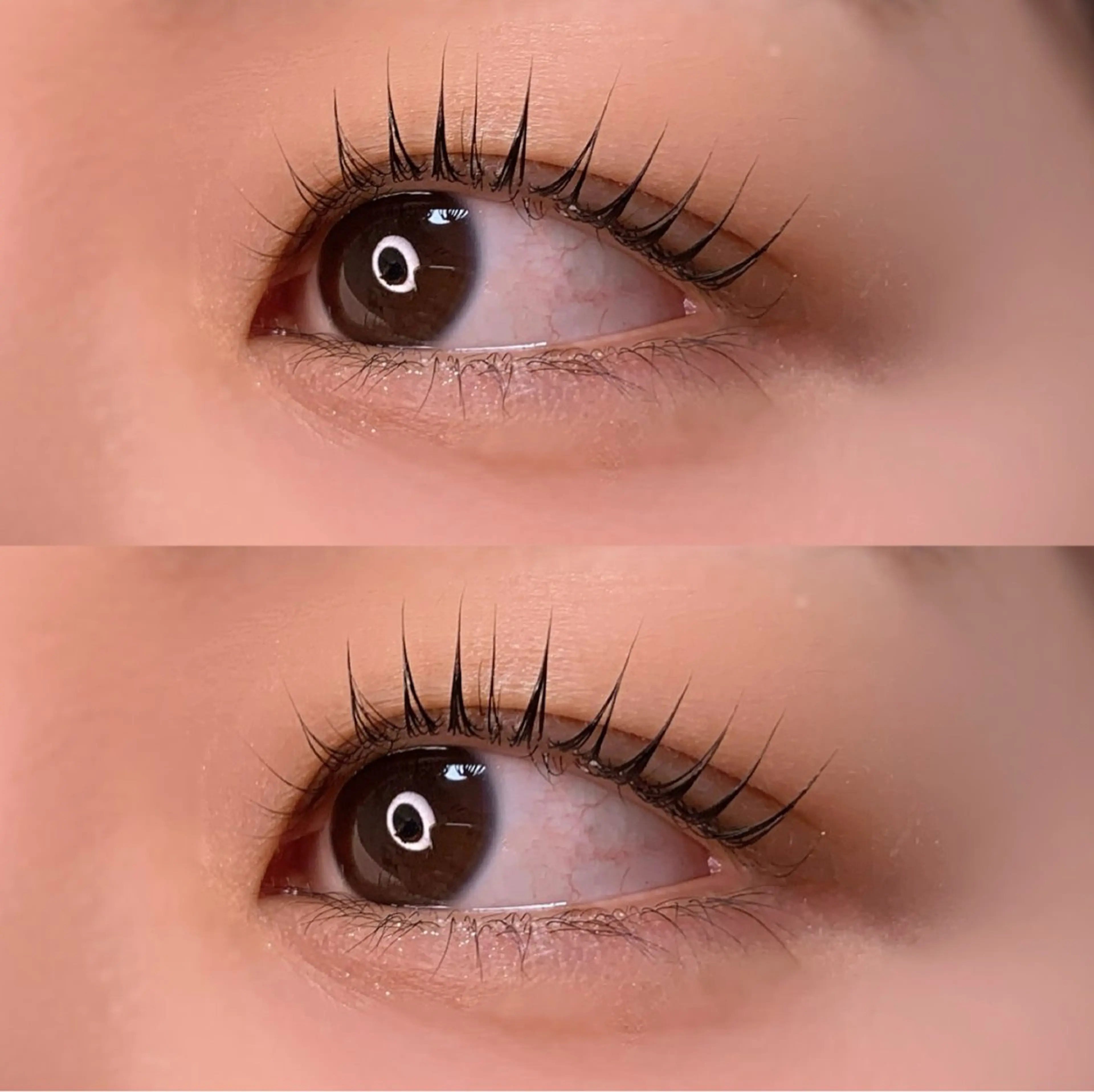 マツエク・マツパ パリジェンヌラッシュリフト マツパ Ayumi.pro 🍆N《4階》のマツエク・マツパデザイン