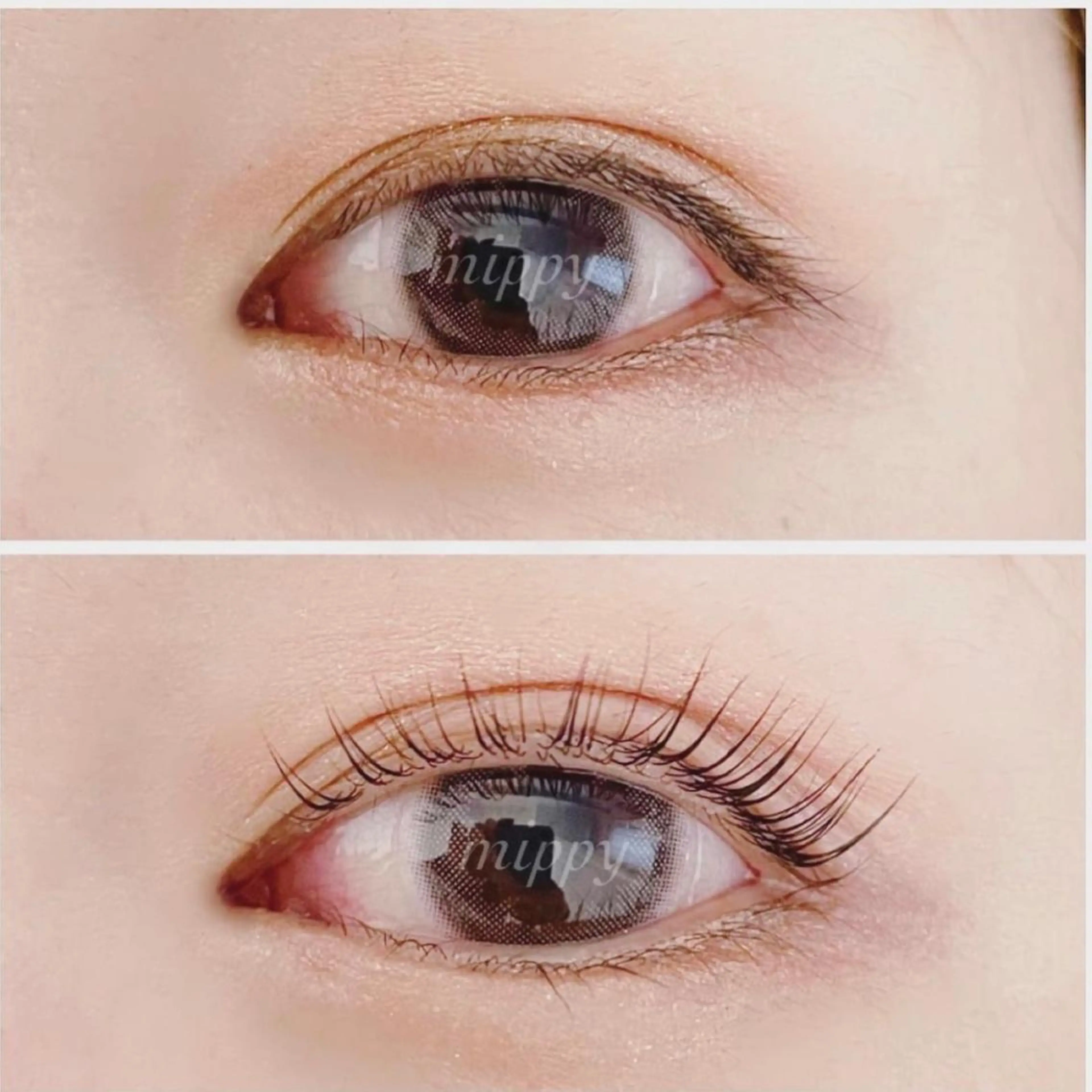 マツエク・マツパ パリジェンヌラッシュリフト ｍｉｐｐｙ 🪽のマツエク・マツパデザイン