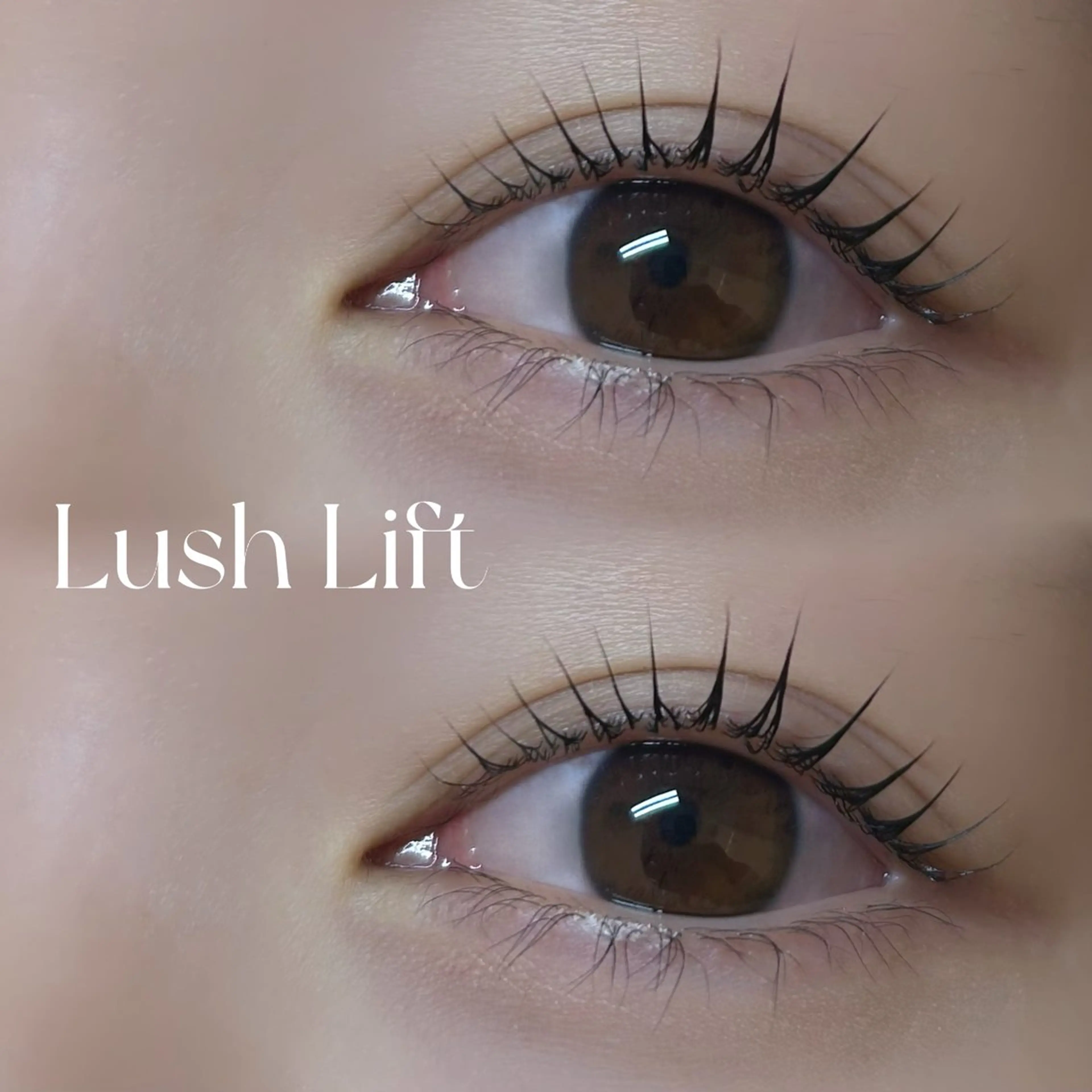 マツエク・マツパ welleye博多店所属・welleye 博多店のマツエク・マツパデザイン