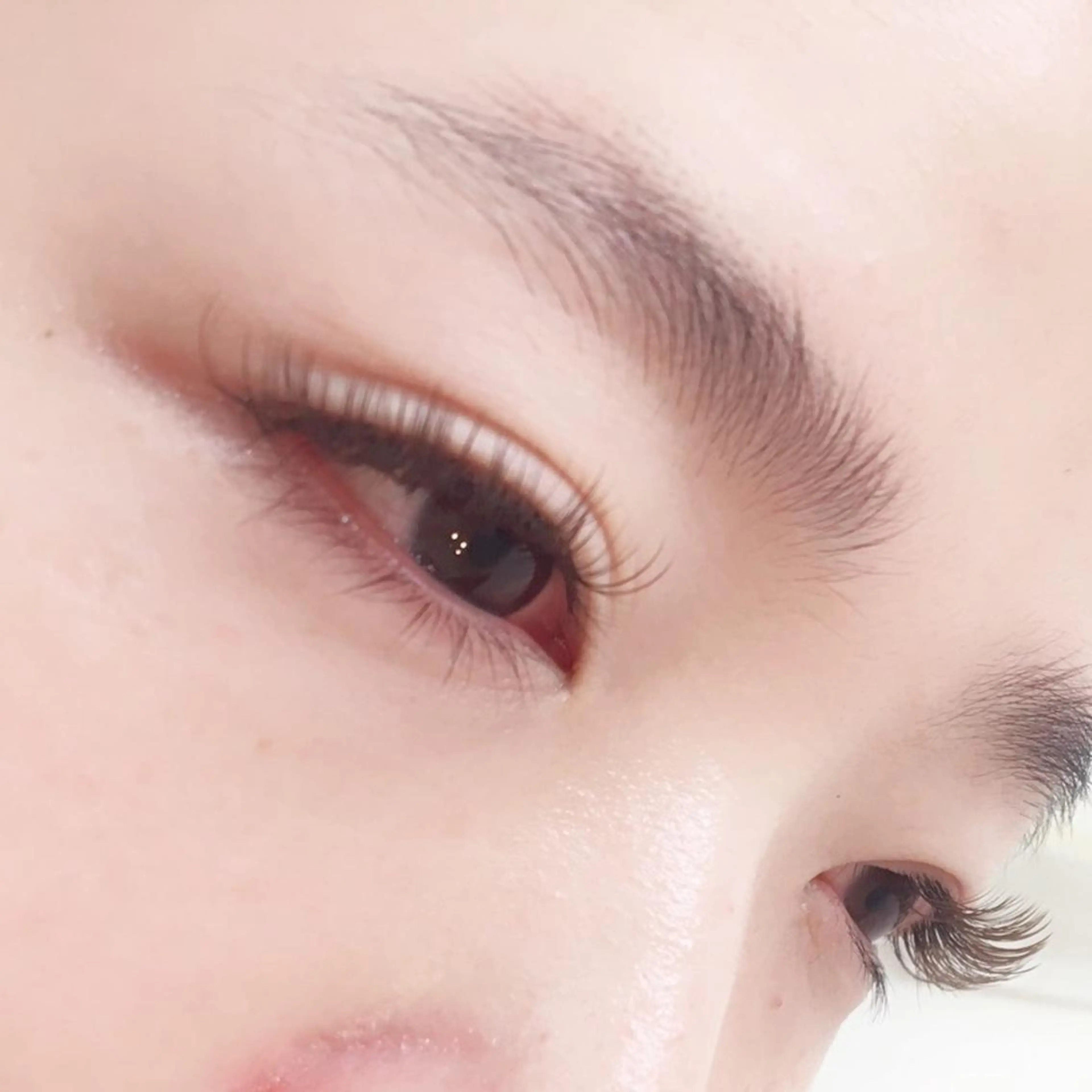 マツエク・マツパ カラーマツエク ボリュームラッシュ アイブロウ/まつぱ T-lash恵比寿店のマツエク・マツパデザイン