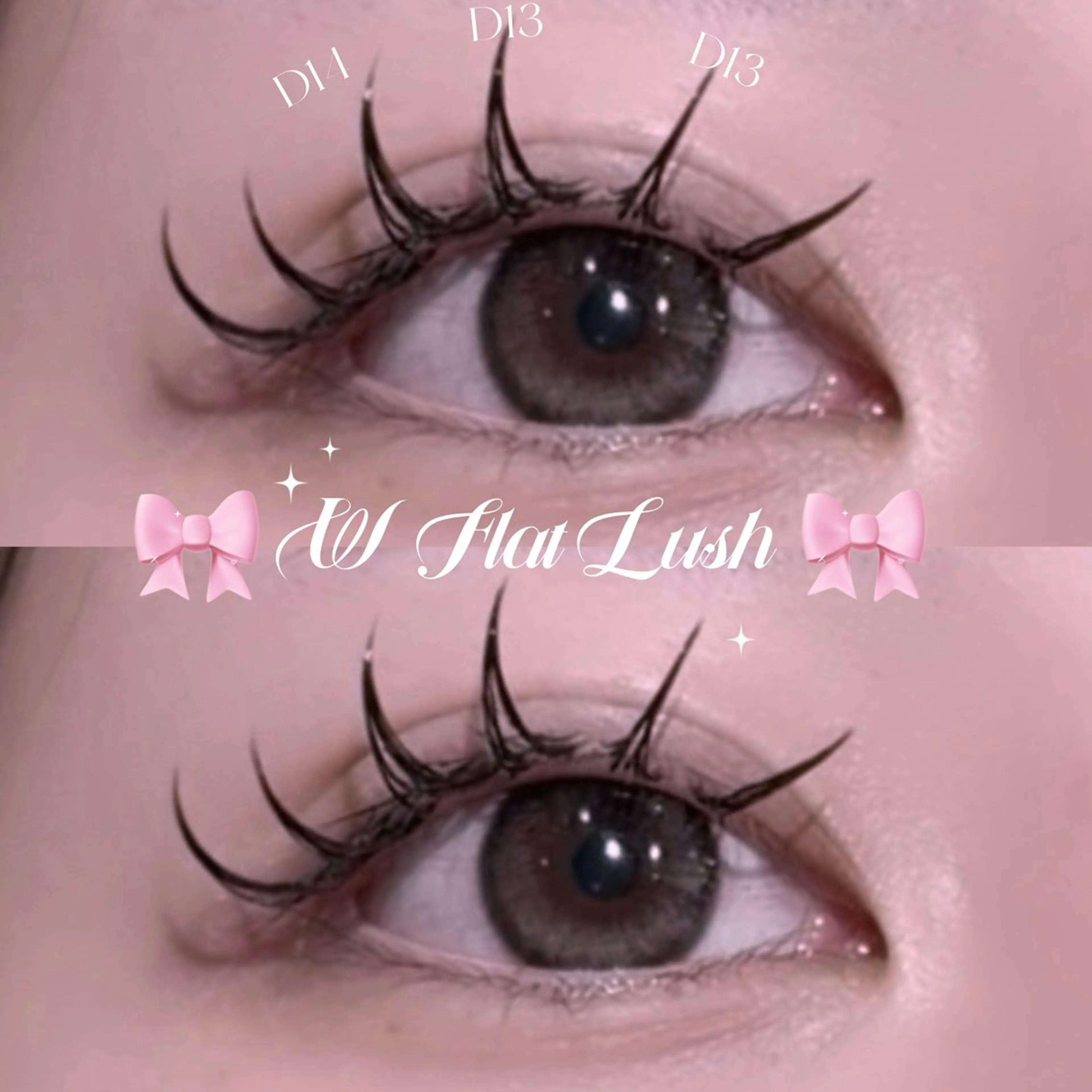 ãããšã¯ã»ããã ãã©ããã©ãã·ã¥ VENUSBELTæå±ã»VB. AIRAã®ãããšã¯ã»ããããã¶ã€ã³