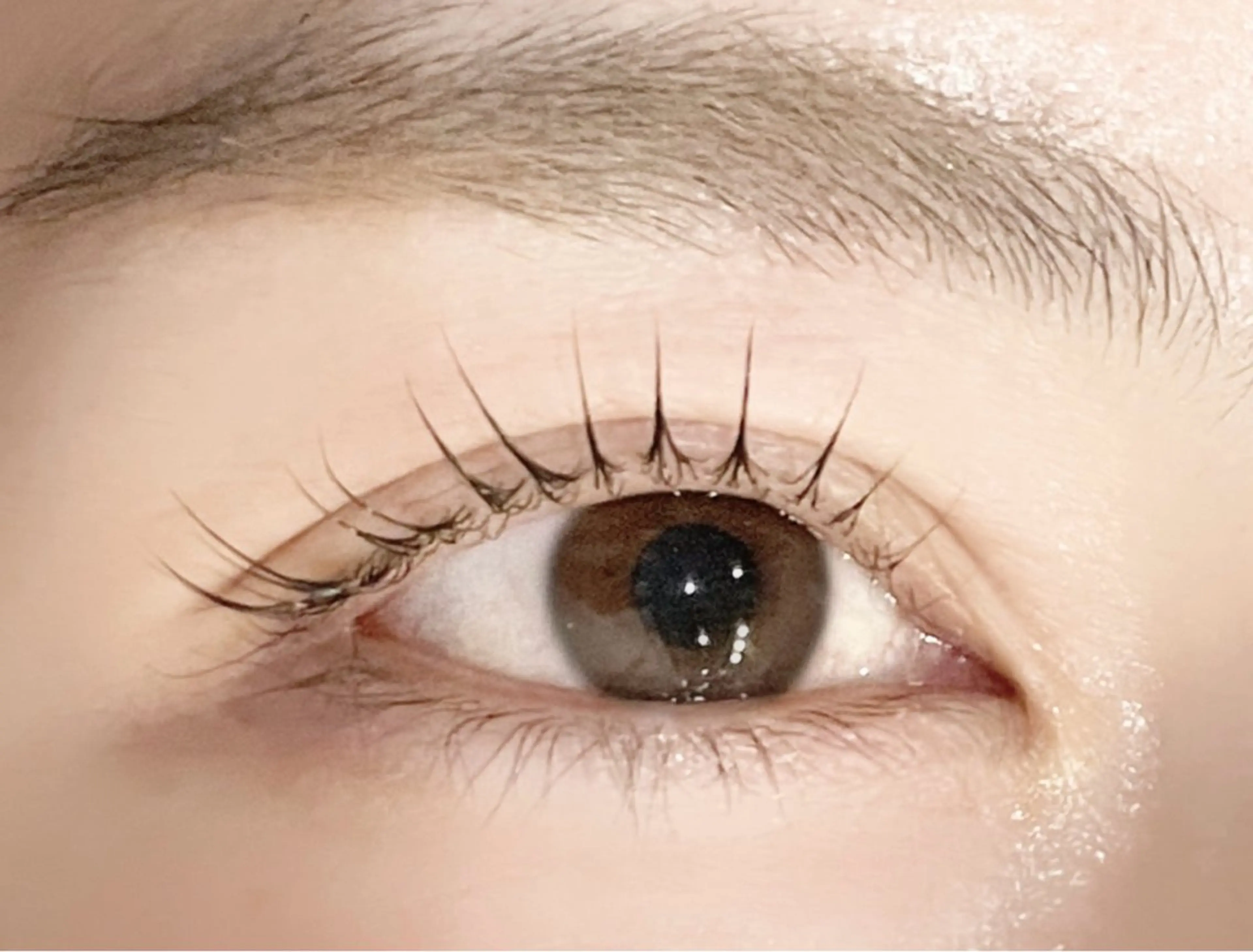 マツエク・マツパ AnD’GRACE 姫愛のマツエク・マツパデザイン