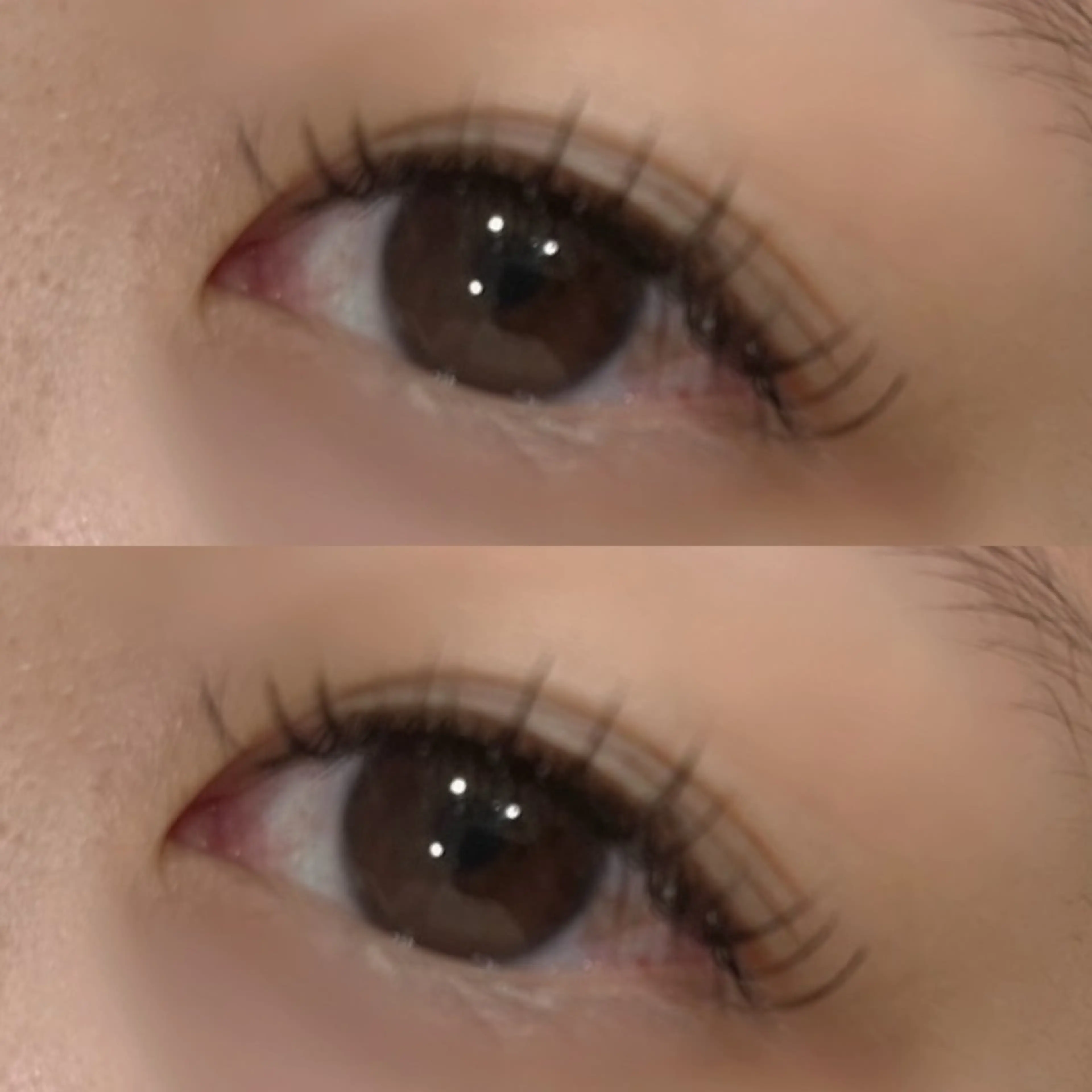 ☘️ LED フラットマットラッシュ 120本☘️の写真