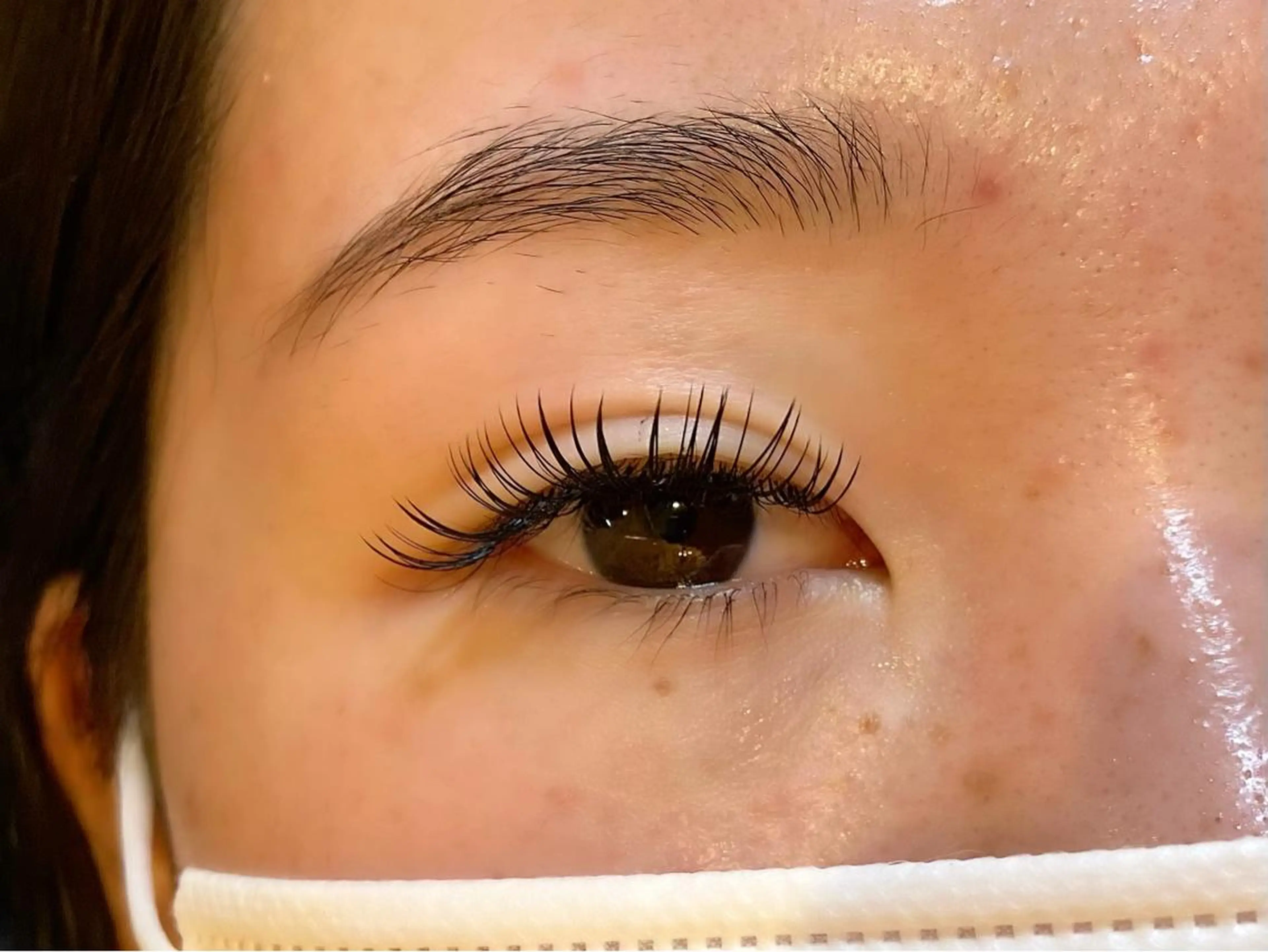 🌿ダブルフラット(バインドロック)【ボリュームUP、持続力UP】80束/オフあり60束目安の写真