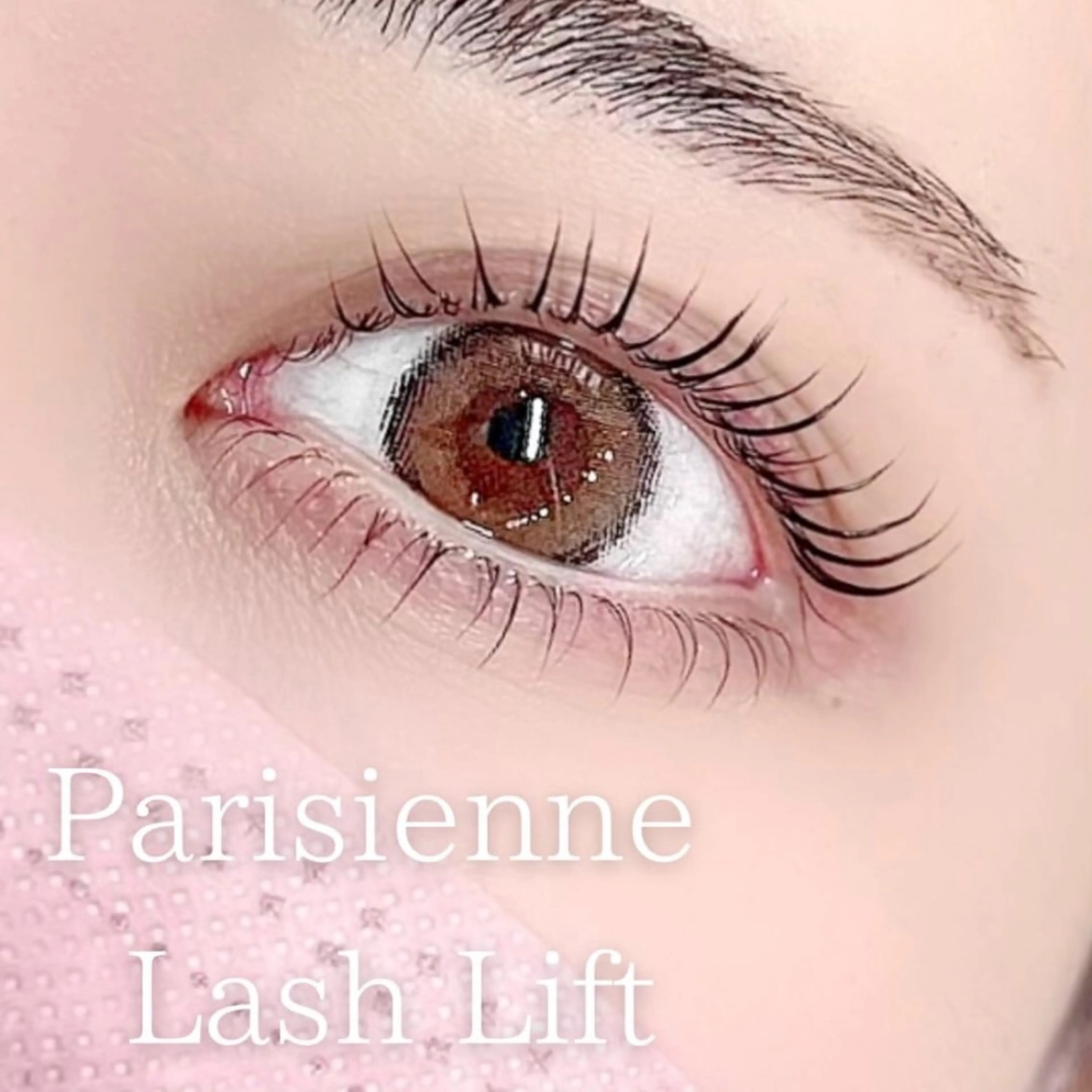 【⏳12月期間限定⏳】上下まつげパーマ♡トリートメント仕上げ込み🤍の写真