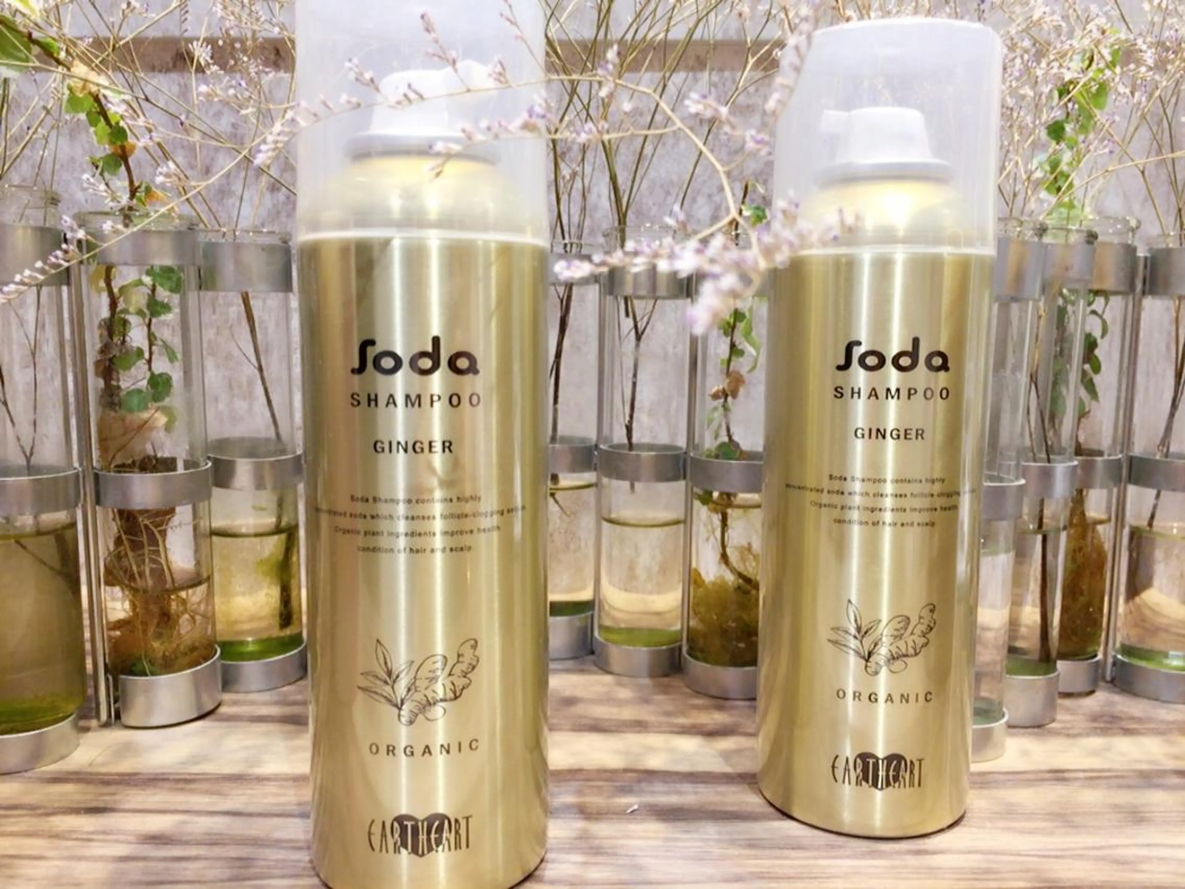 田中 実咲のヘアスタイル