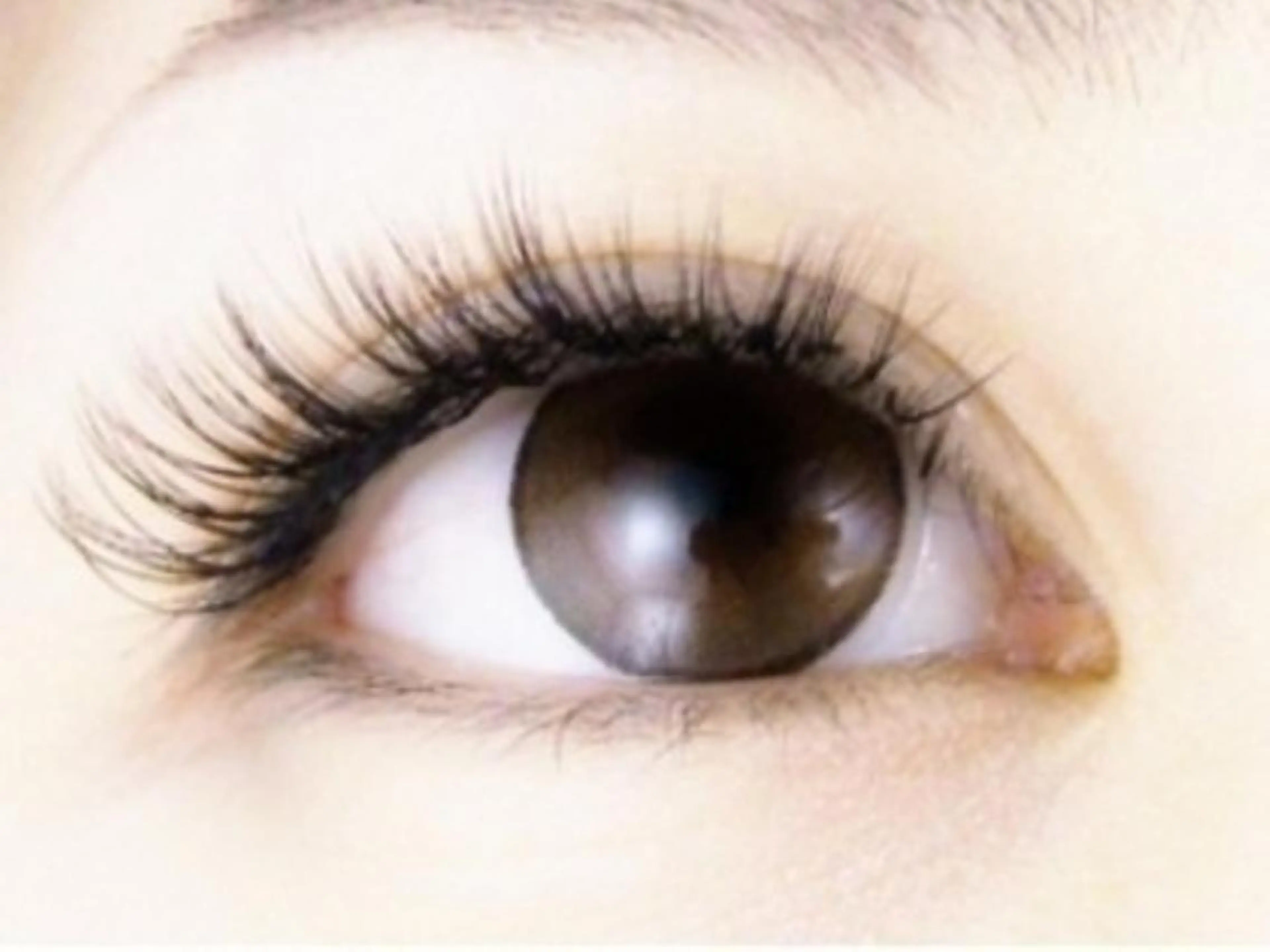 マツエク・マツパ mila.池袋LED エクステ・イガラシのマツエク・マツパデザイン