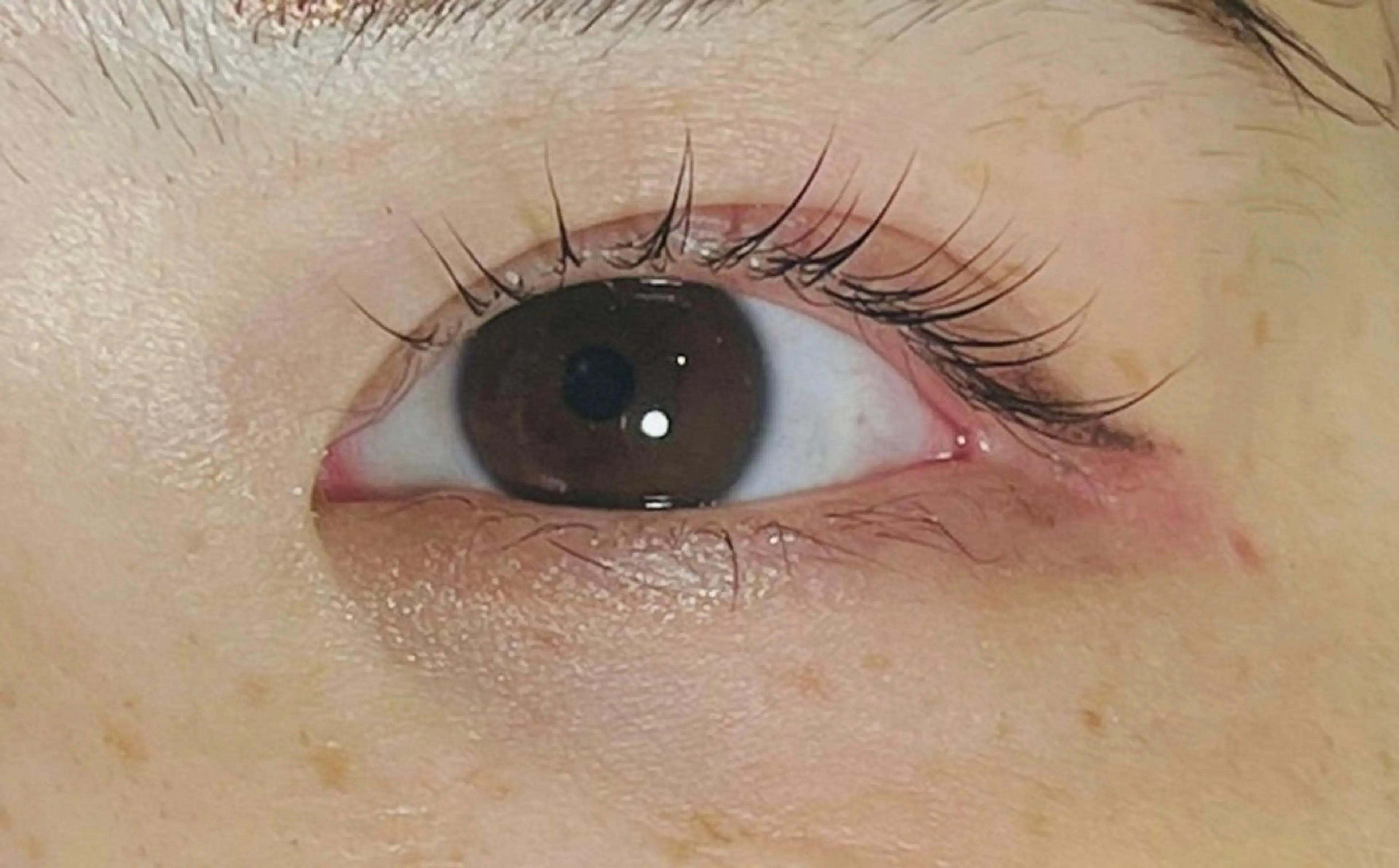 マツエク・マツパ AWANIKO byNOA浦添店所属・ノア 浦添の眉毛・アイブロウイメージ