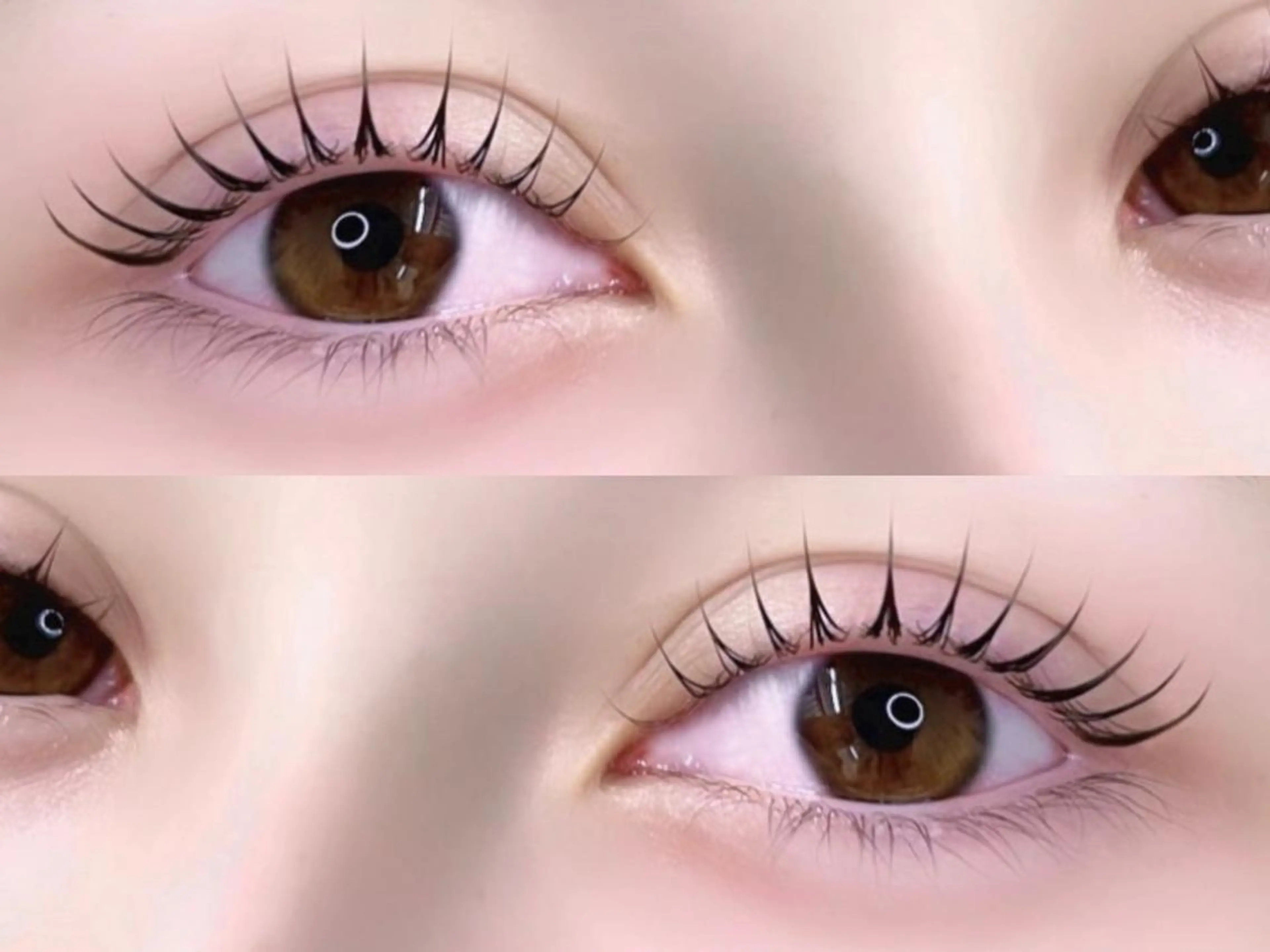 マツエク・マツパ 🦢✨fein. 原宿店✨🤍のマツエク・マツパデザイン