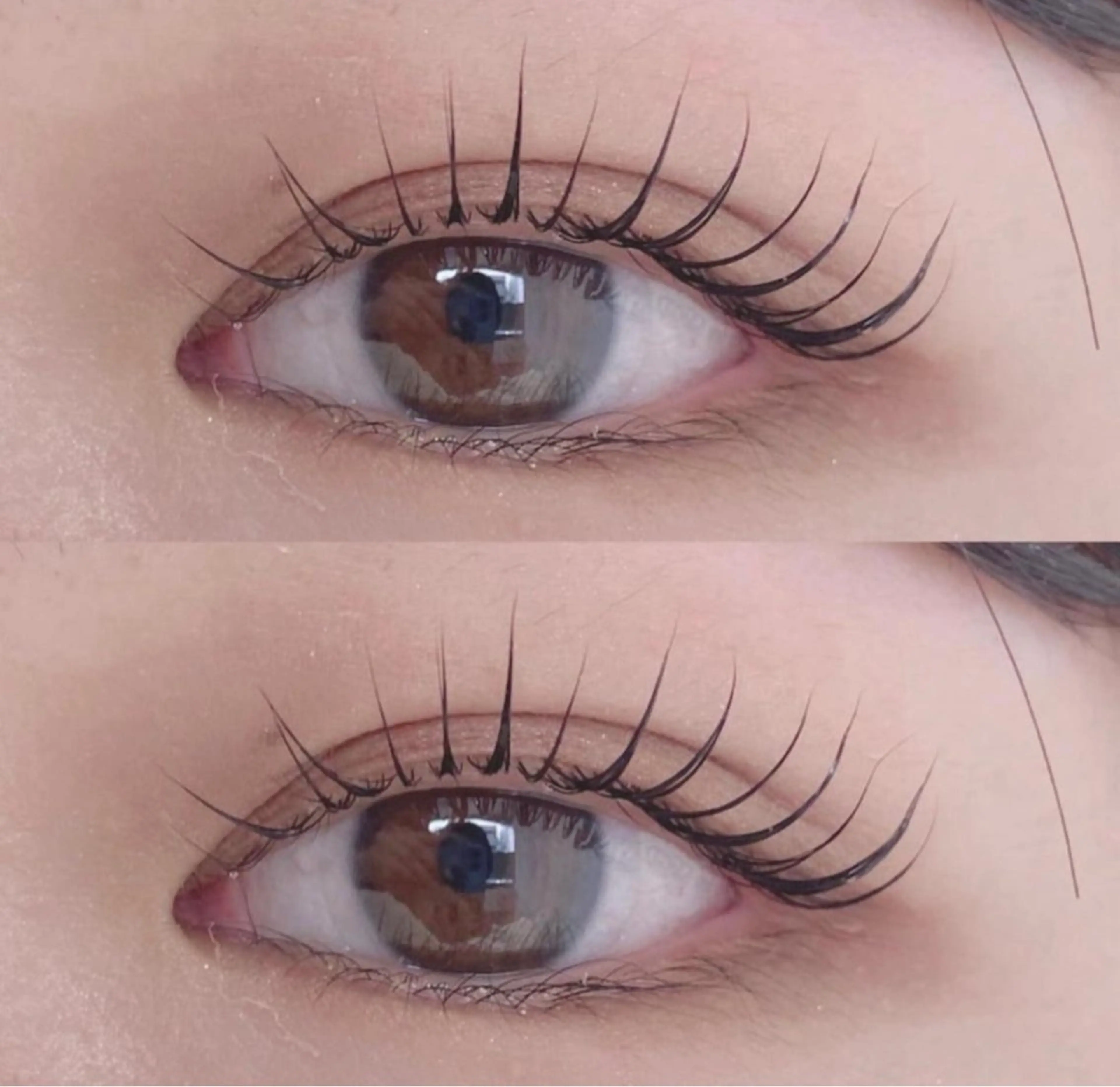 🎀無料まつげパーマの写真