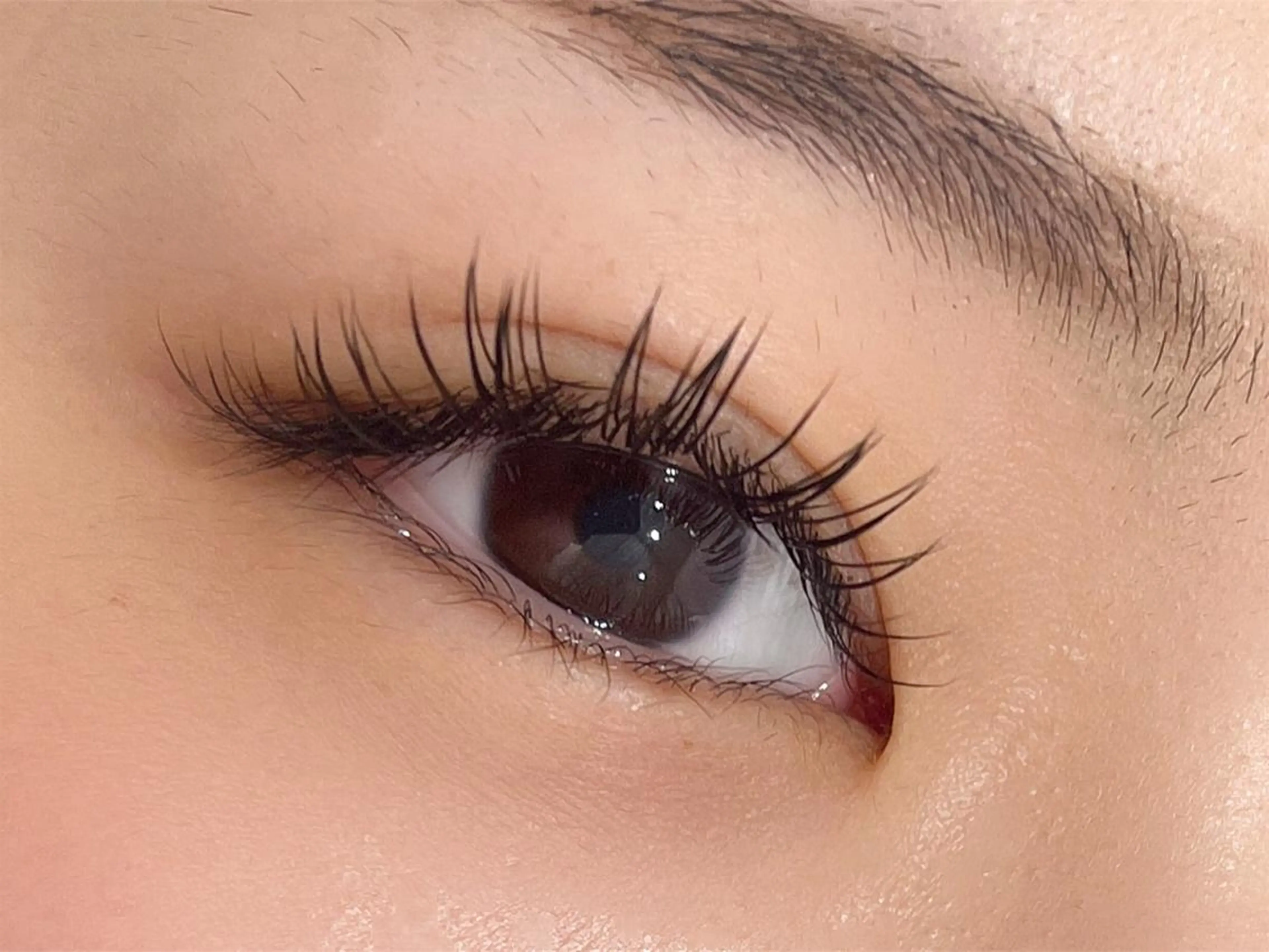 マツエク・マツパ beauty salon ECXIA所属・ECXIA 福田のマツエク・マツパデザイン