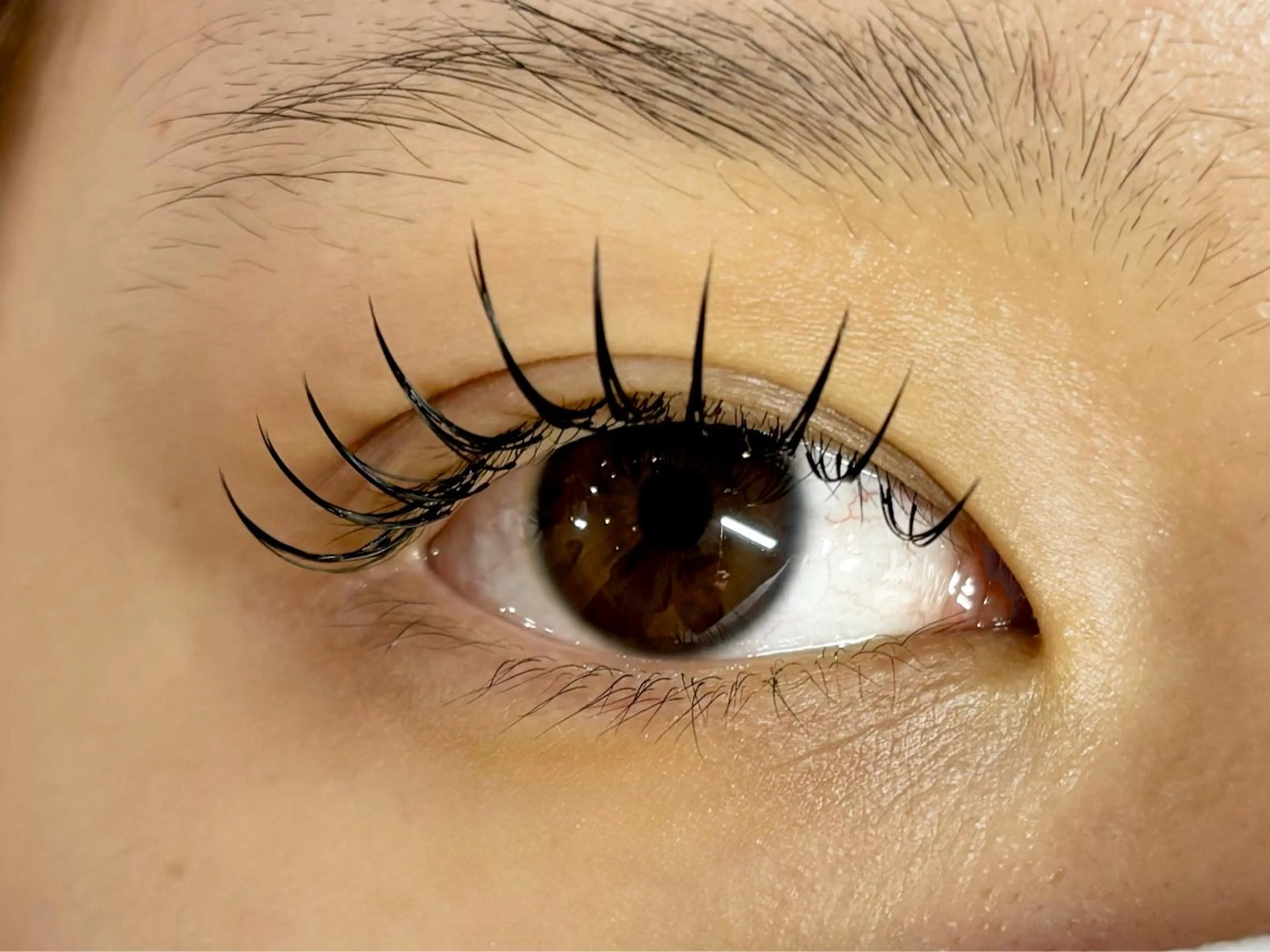 マツエク・マツパ 束感まつ毛 フラットラッシュ マツエク 中村彩香 (エフドゥ)のマツエク・マツパデザイン