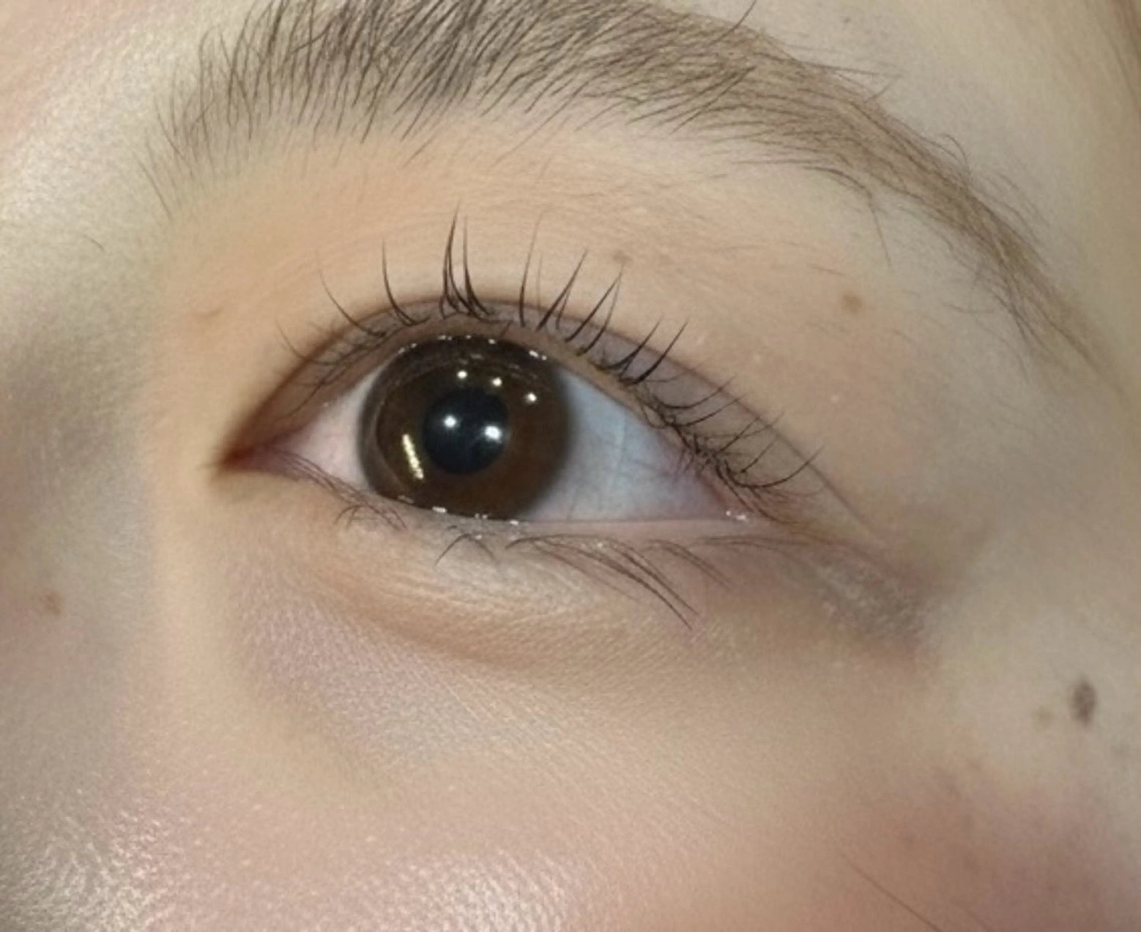 マツエク・マツパ マツパ 🕊ユメノ🕊まつパ 特別価格あり☁️のマツエク・マツパデザイン