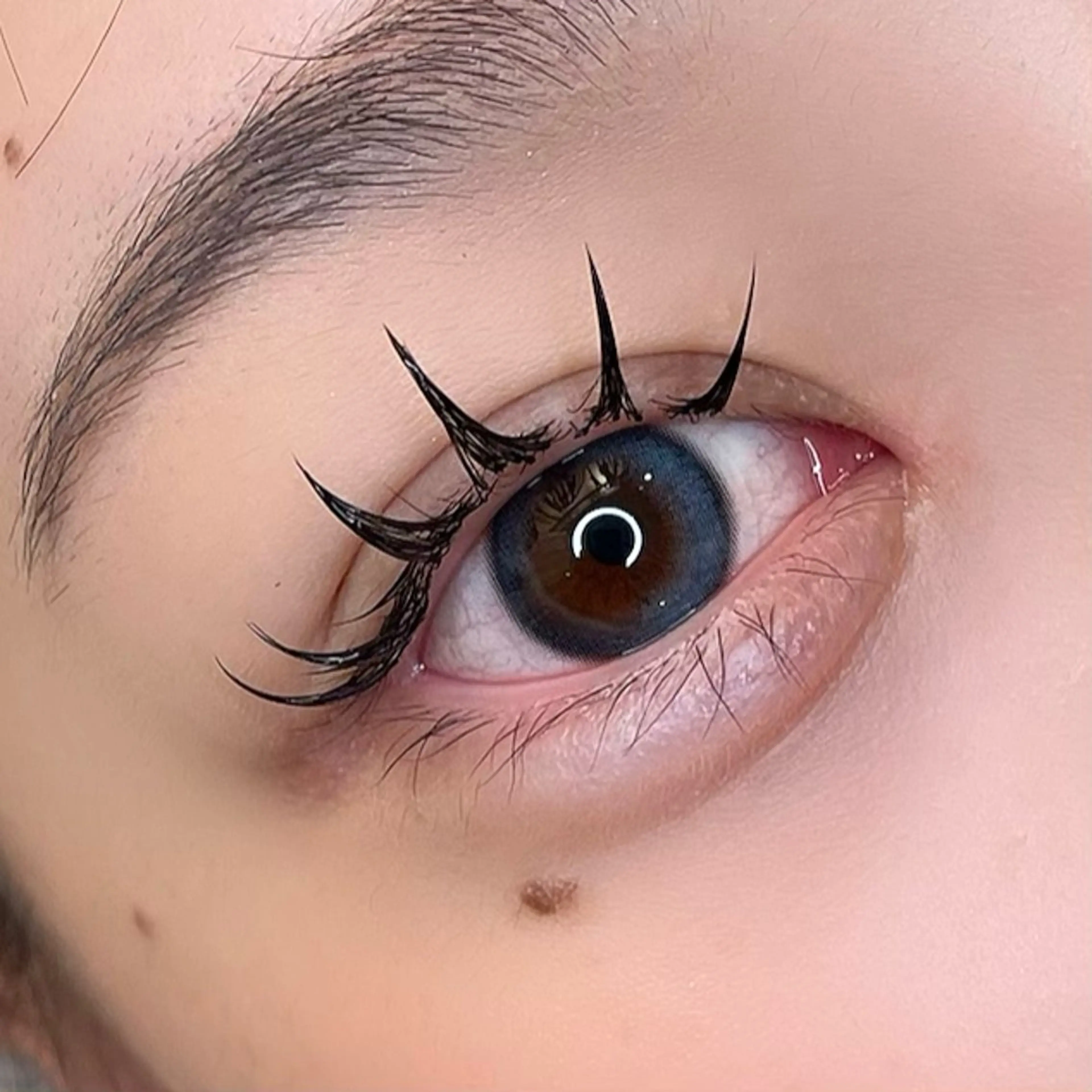 当店初利用の方限定♡【新技術★&Healthy】3Dラッシュ180本(60束)×LED×パーマ♡の写真