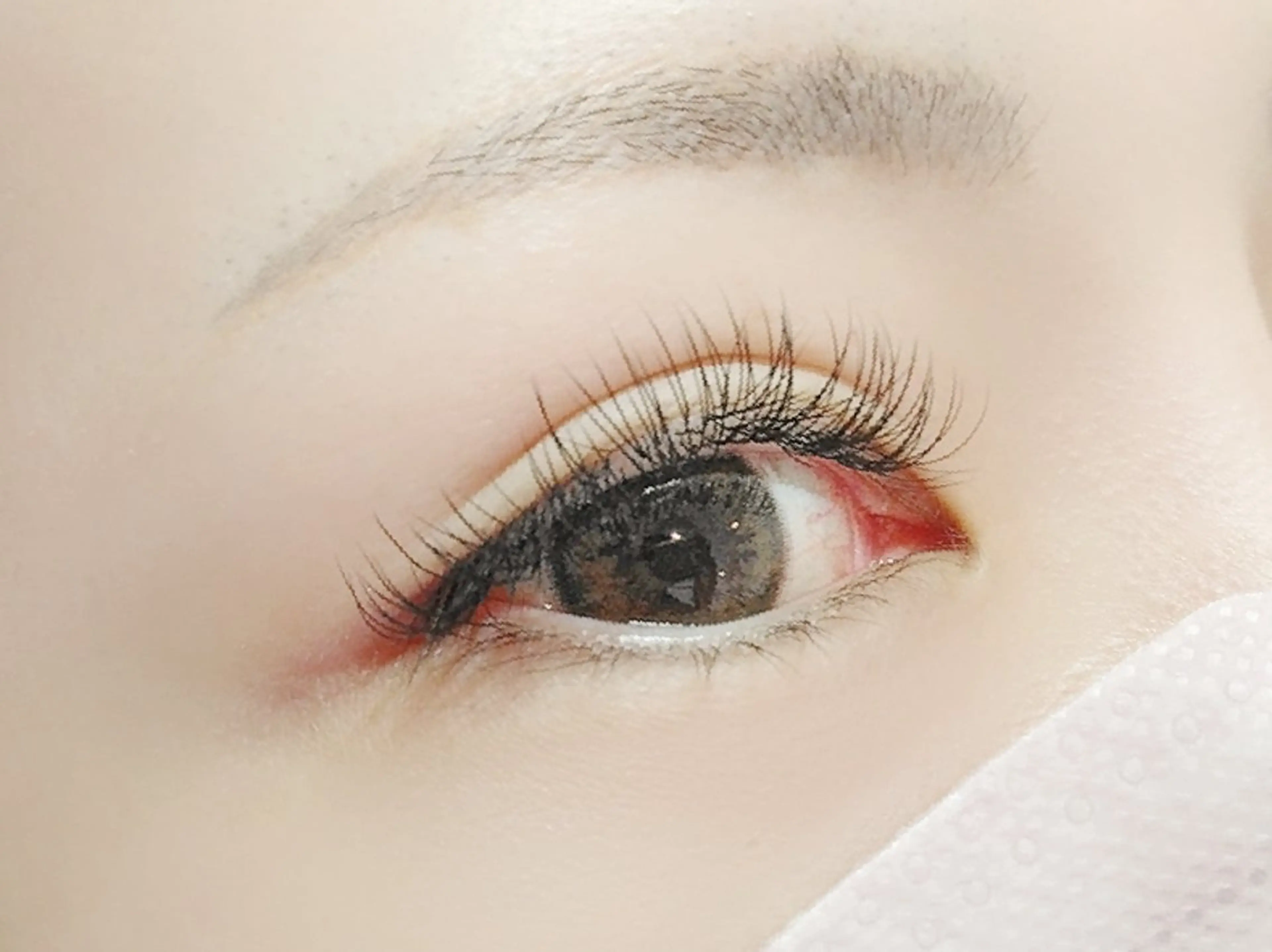 マツエク・マツパ フラットラッシュ Luce da spashの眉毛・アイブロウイメージ