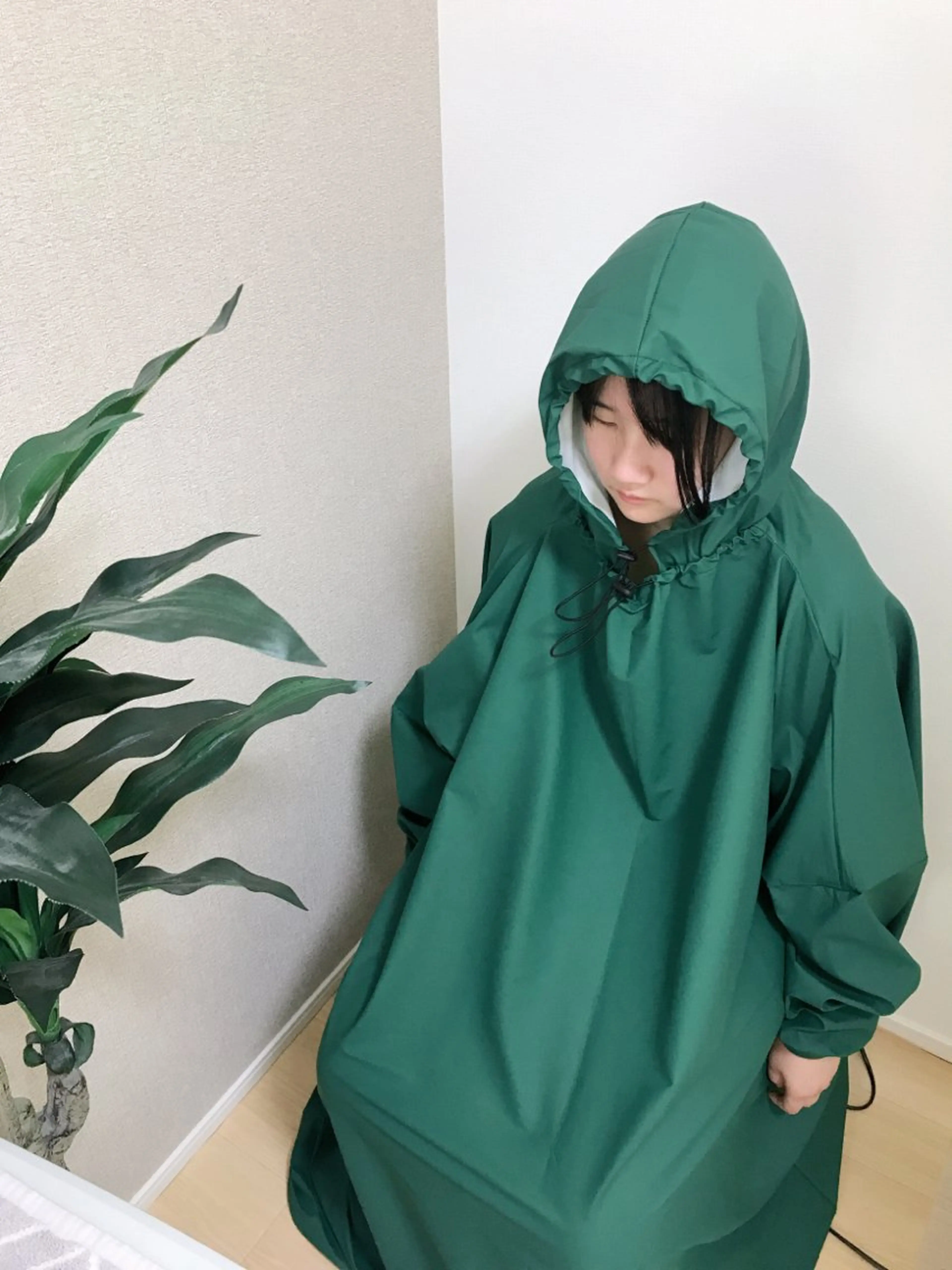 ヨモギ蒸しの写真