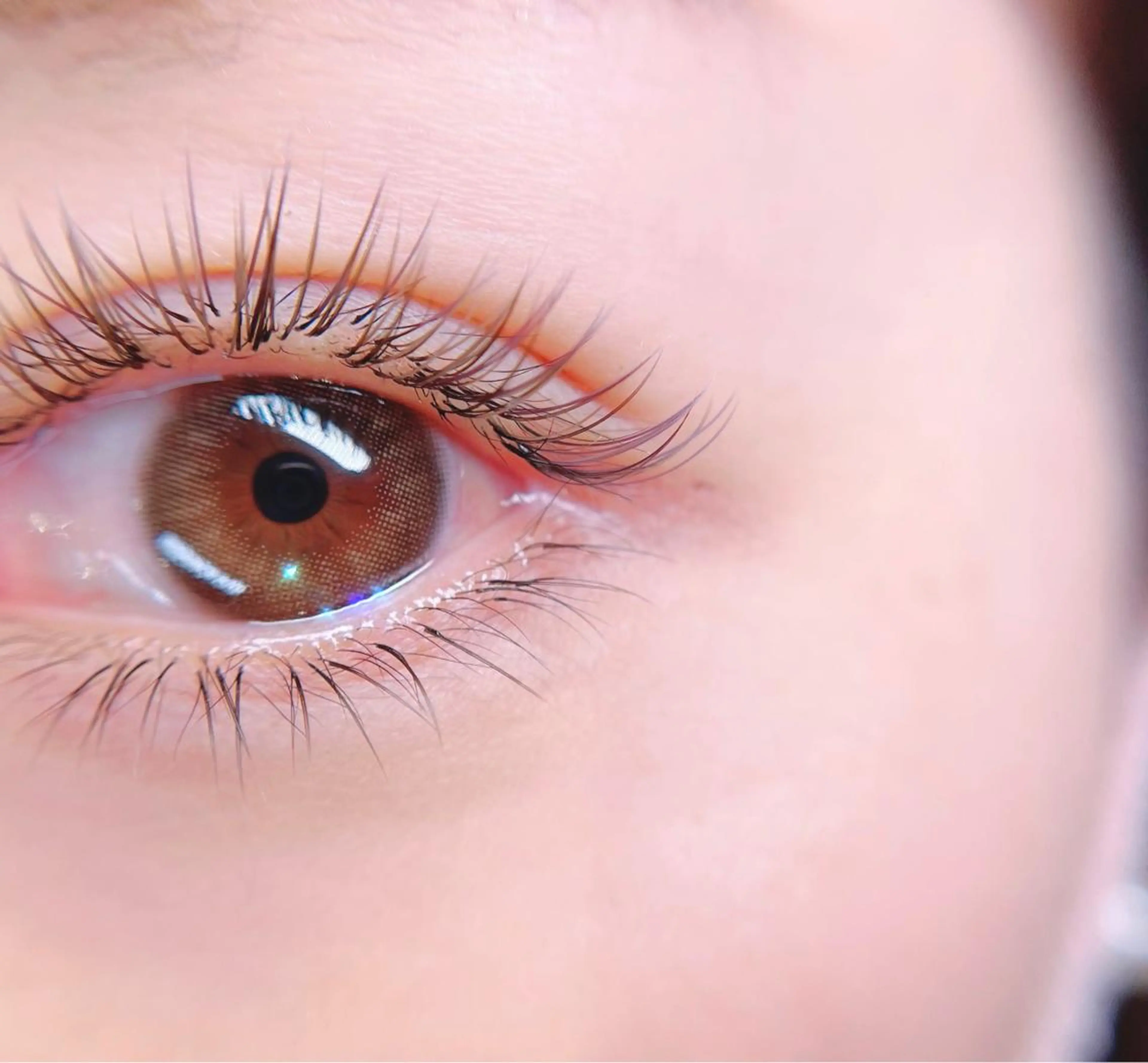 下まつげエクステ(​〜​両目50本)の写真