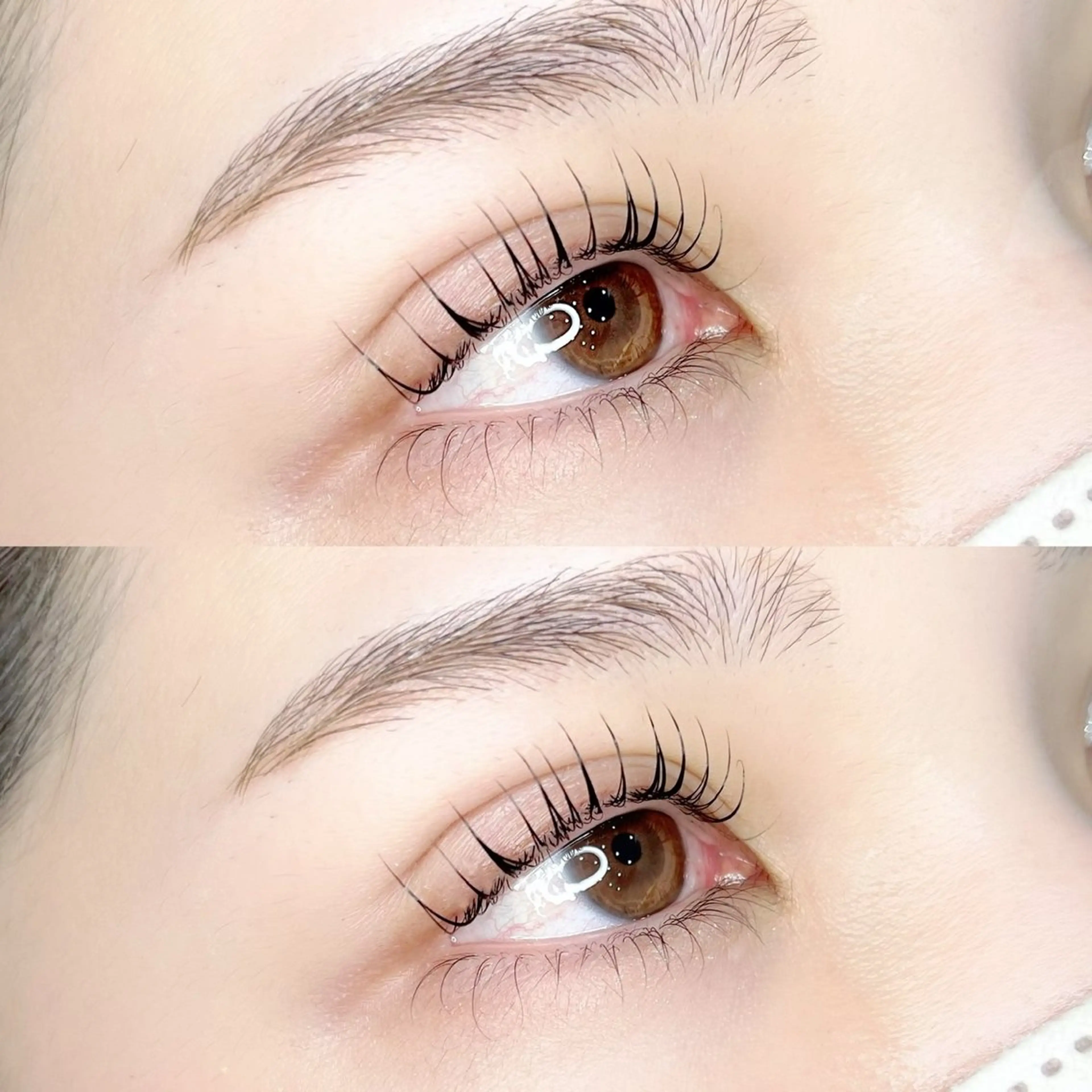 🧸【話題のブラックティント！】ラッシュリフト（上まつげパーマ）の写真