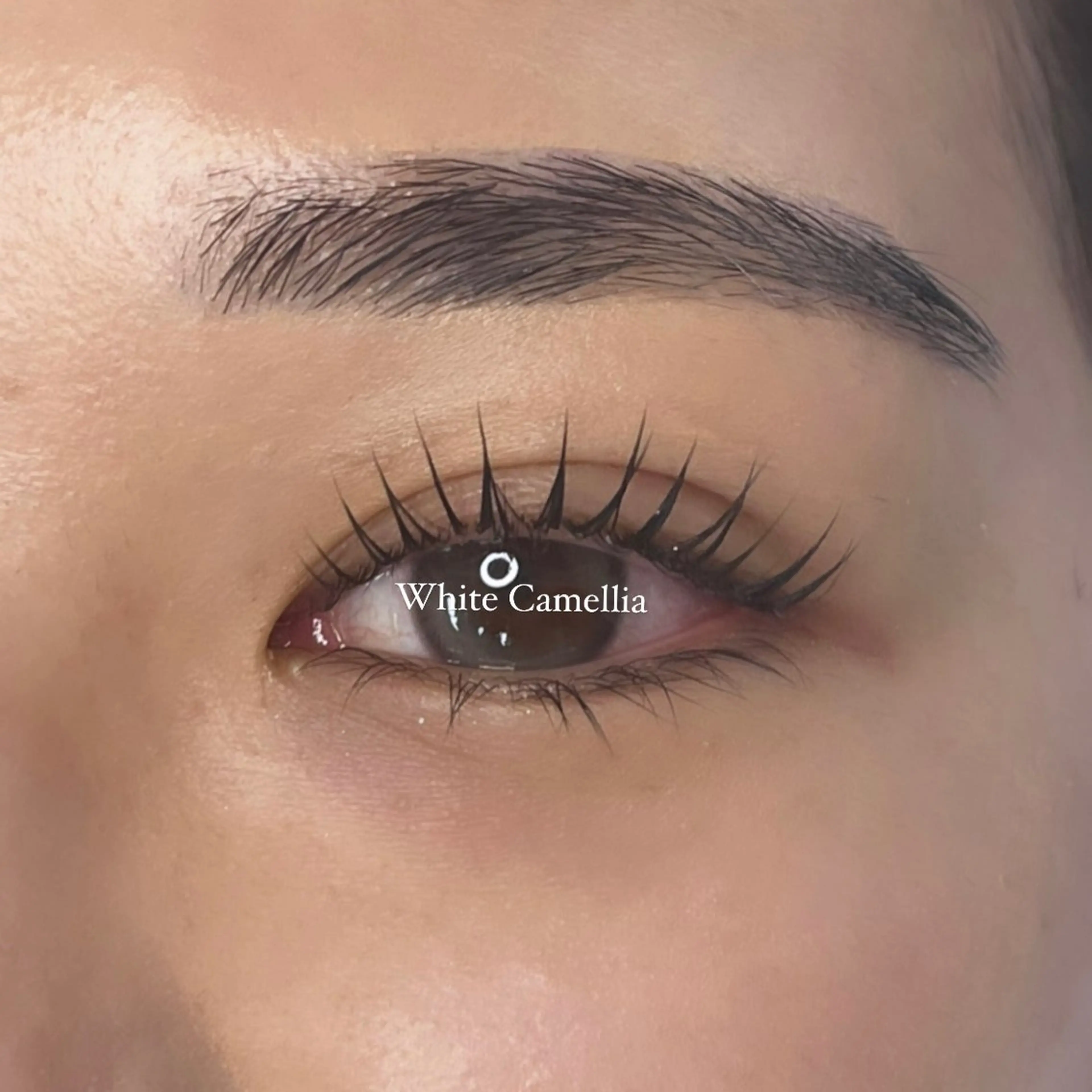 マツエク・マツパ アイブロウ 眉毛ワックス脱毛 パリジェンヌラッシュリフト 一重×まつ毛パーマ 韓国風束感まつ毛🎀 Nanamiのマツエク・マツパデザイン