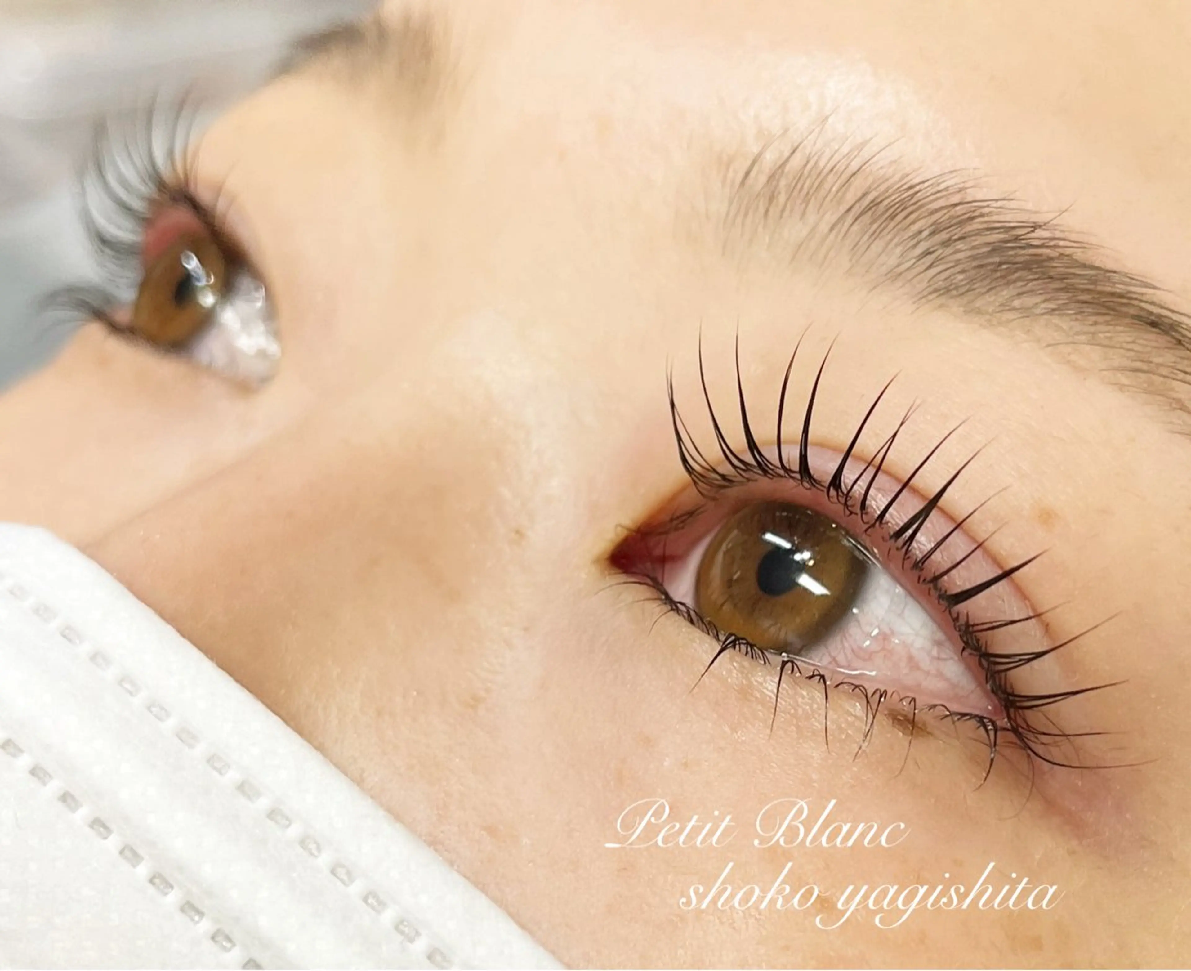 ぱっちり根元立ち上げ【ラッシュリフト上】3300円の写真