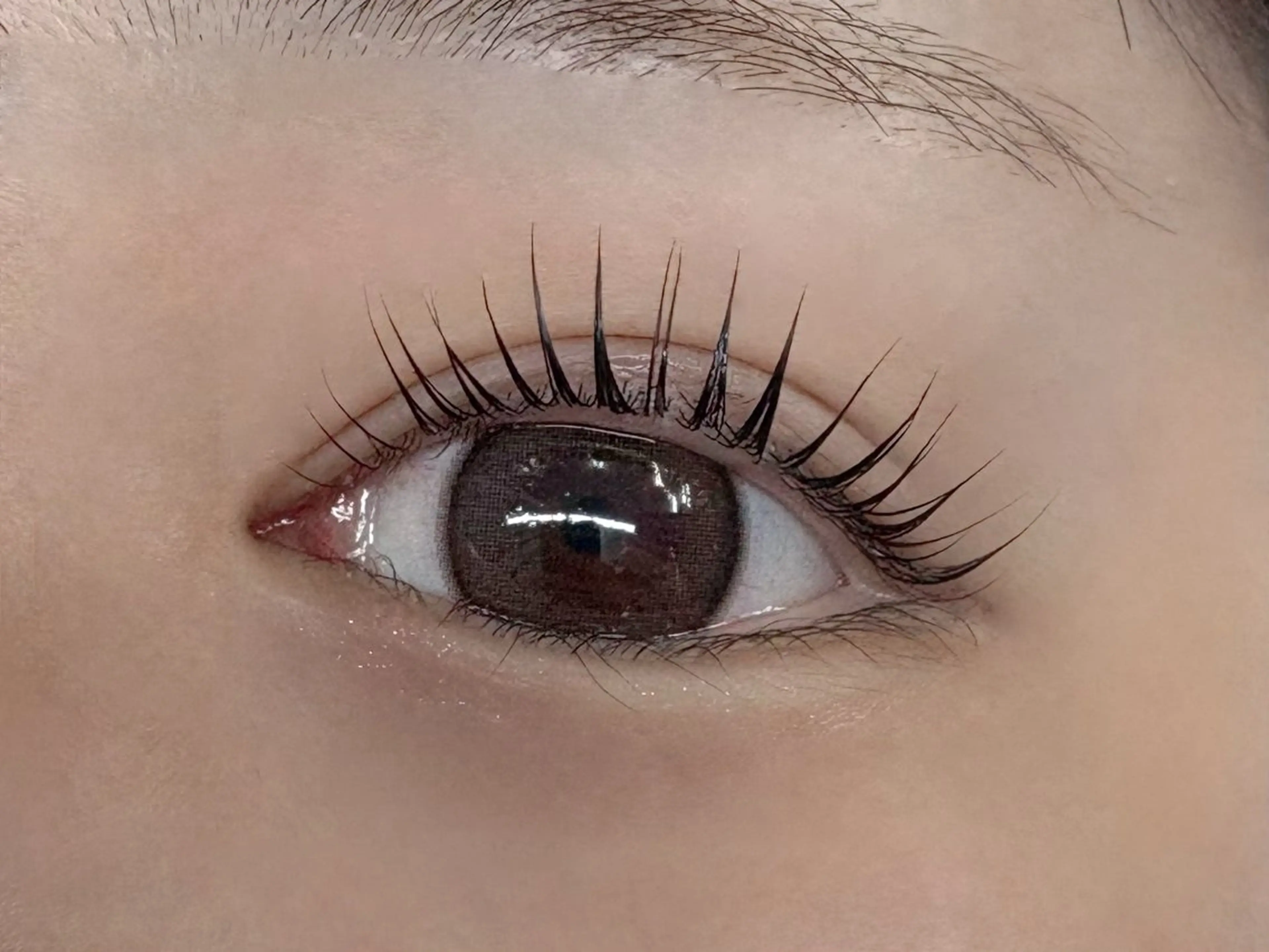 🍒次世代ラッシュリフト🍒コーティングつきの写真