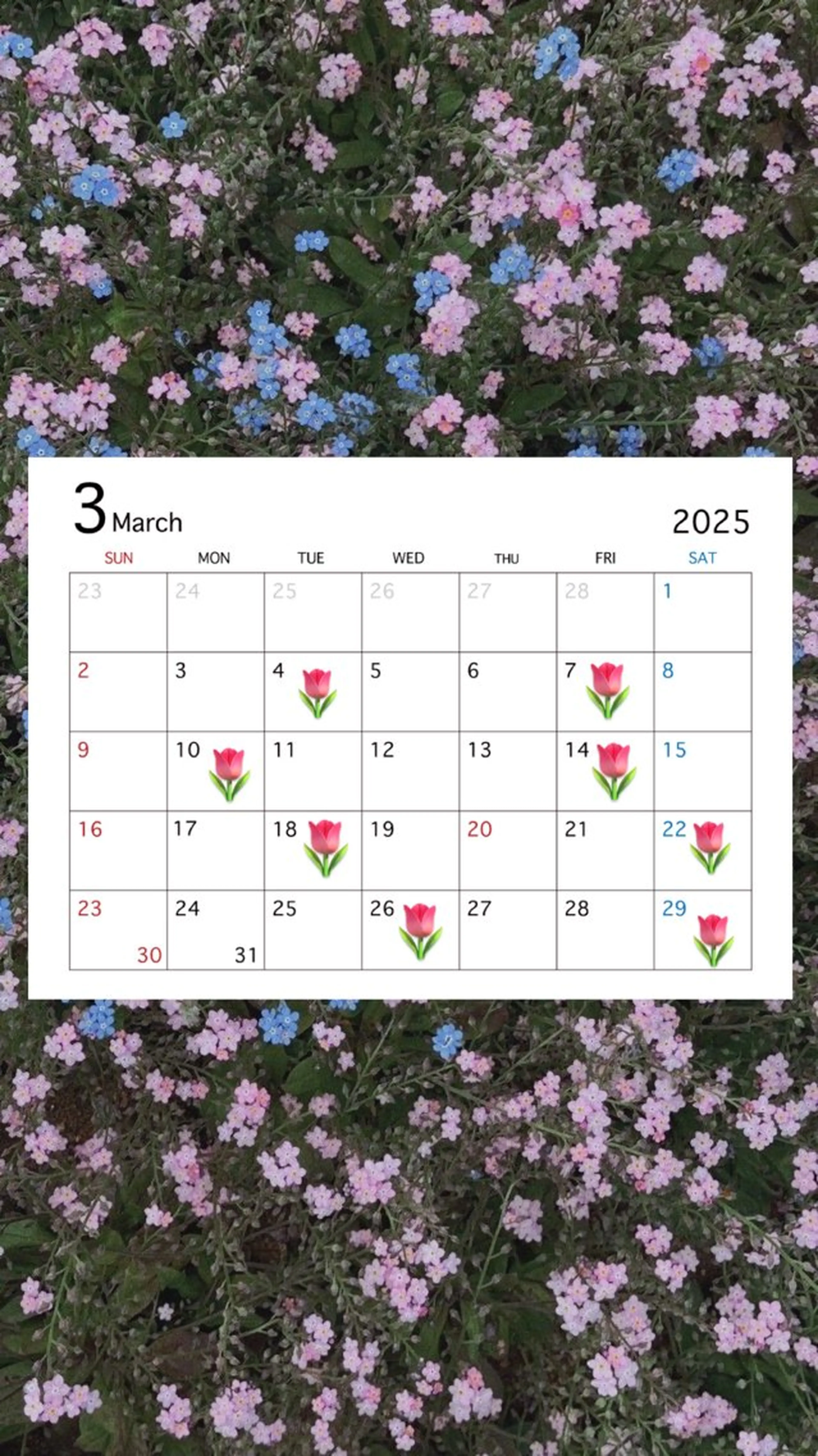 H  eyelash ⌇𝐦𝐢𝐮 ☽のマツエク・マツパデザイン