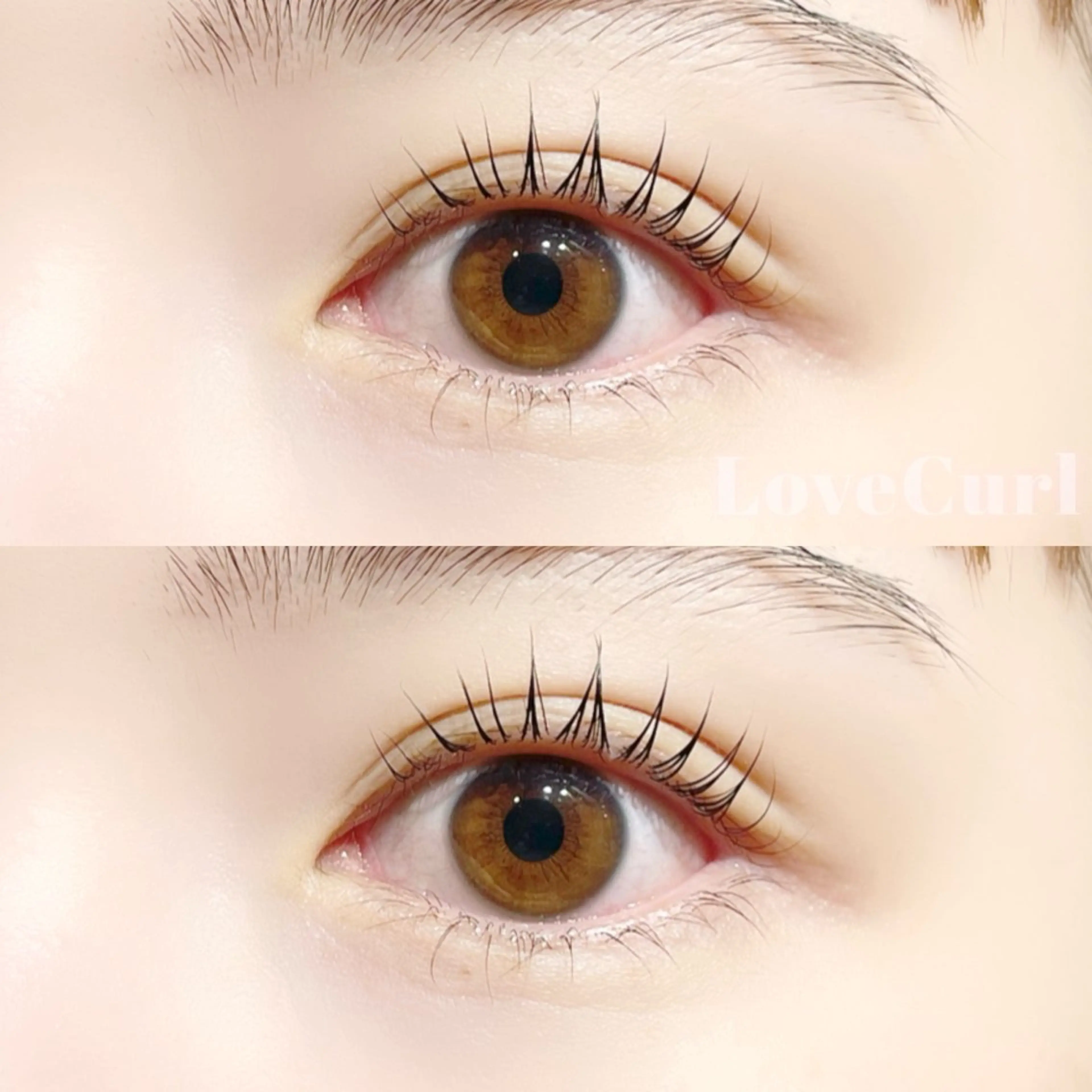 【2回目以降の方】ケラチンラッシュリフト上のみ👒🌻の写真