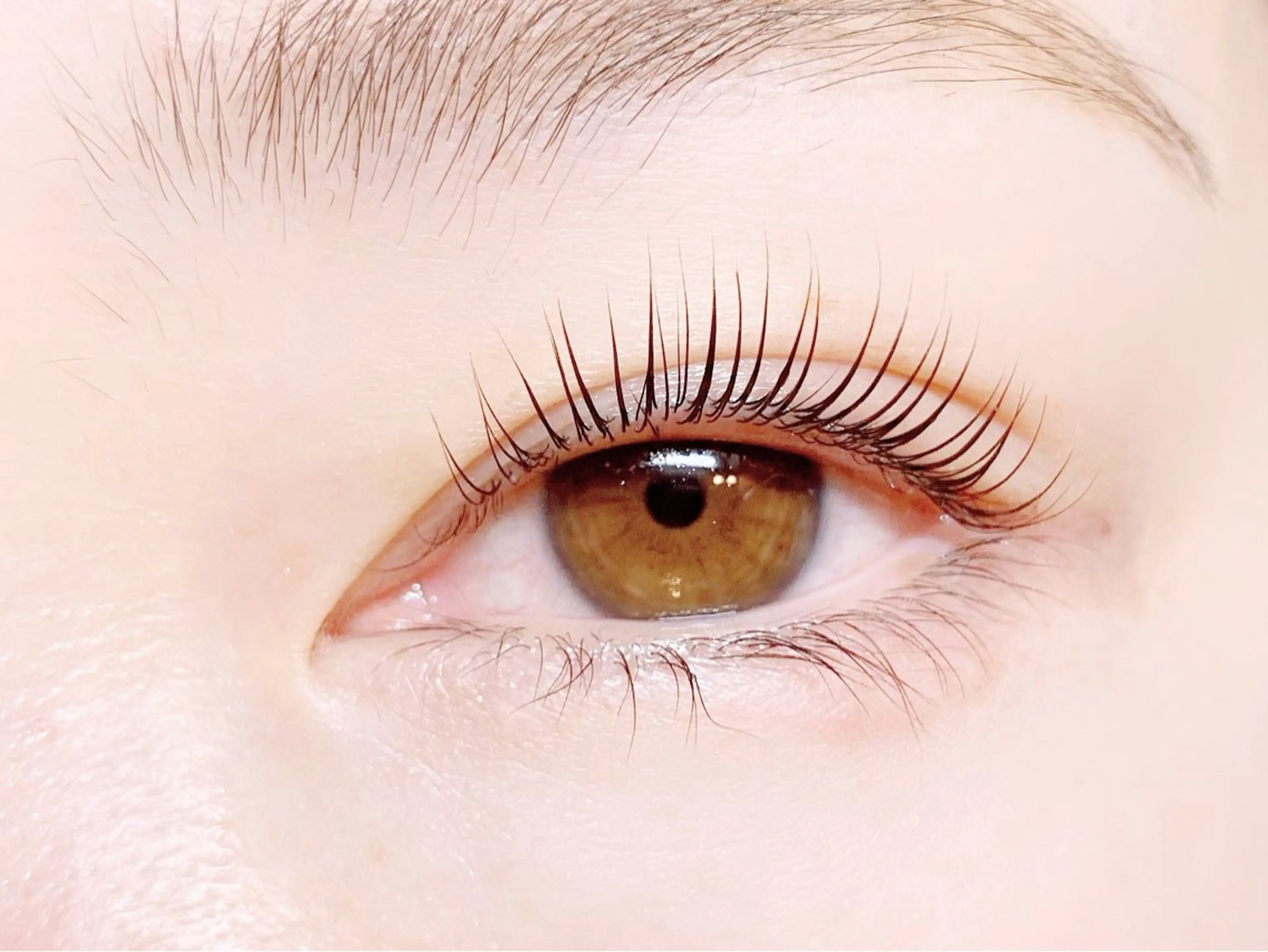 パリジェンヌラッシュリフトリペア【顧客様】コ-ティング美容液付! /5980♡の写真