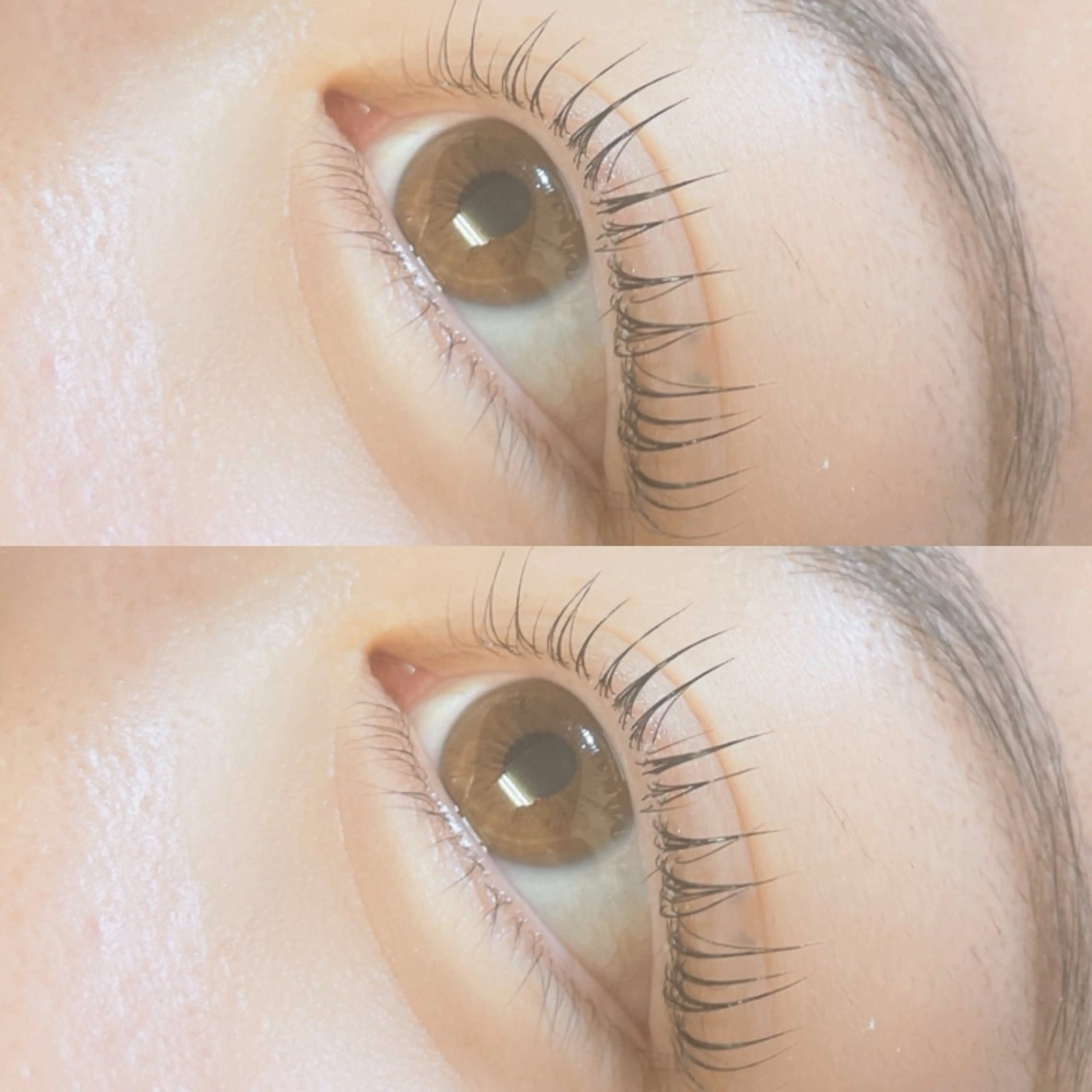 マツエク・マツパ マツパ リフュージュ　隠れ家所属・リフュージュ🌷 カホのマツエク・マツパデザイン