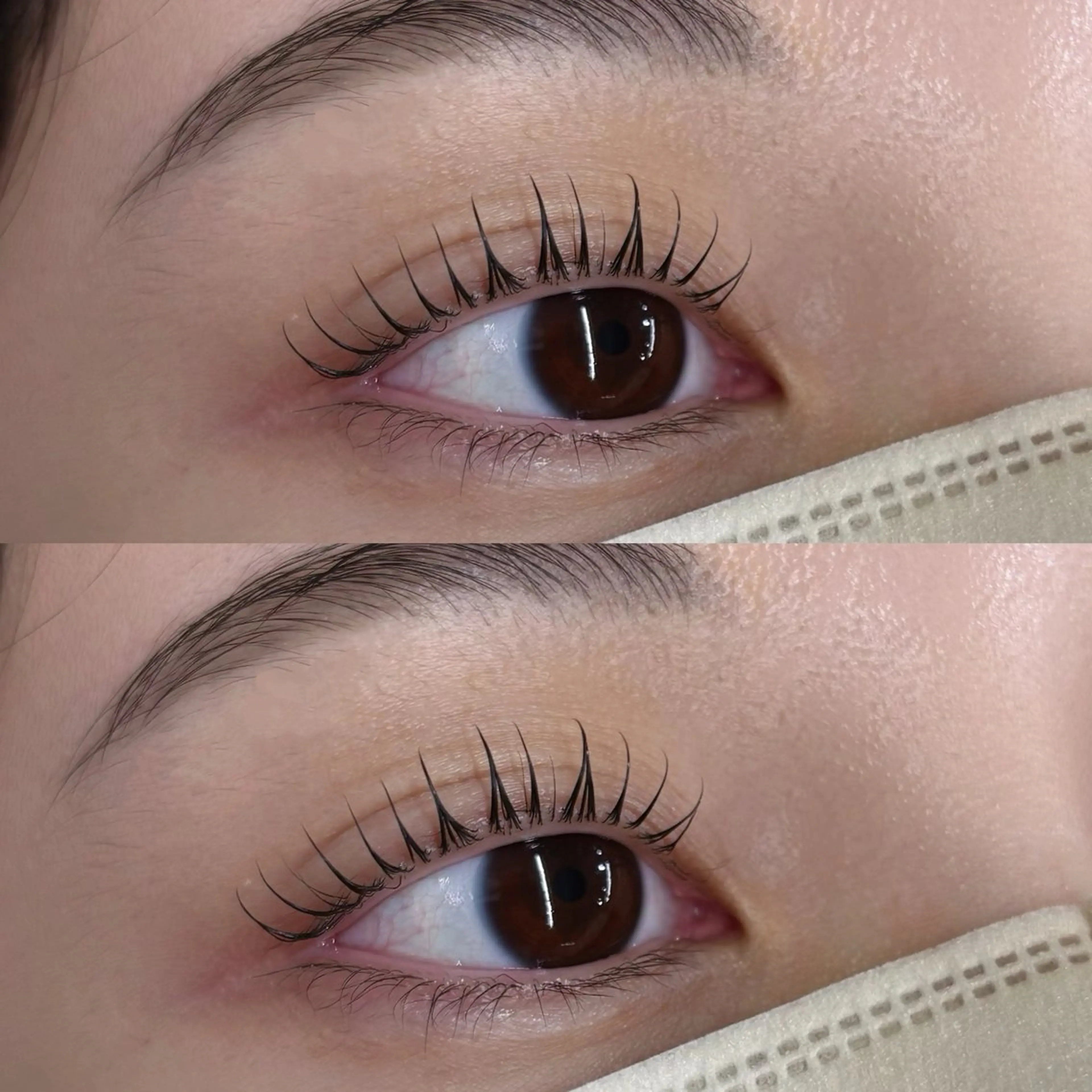 🫧まつげパーマ🫧コーティング付【土日祝+500円】の写真